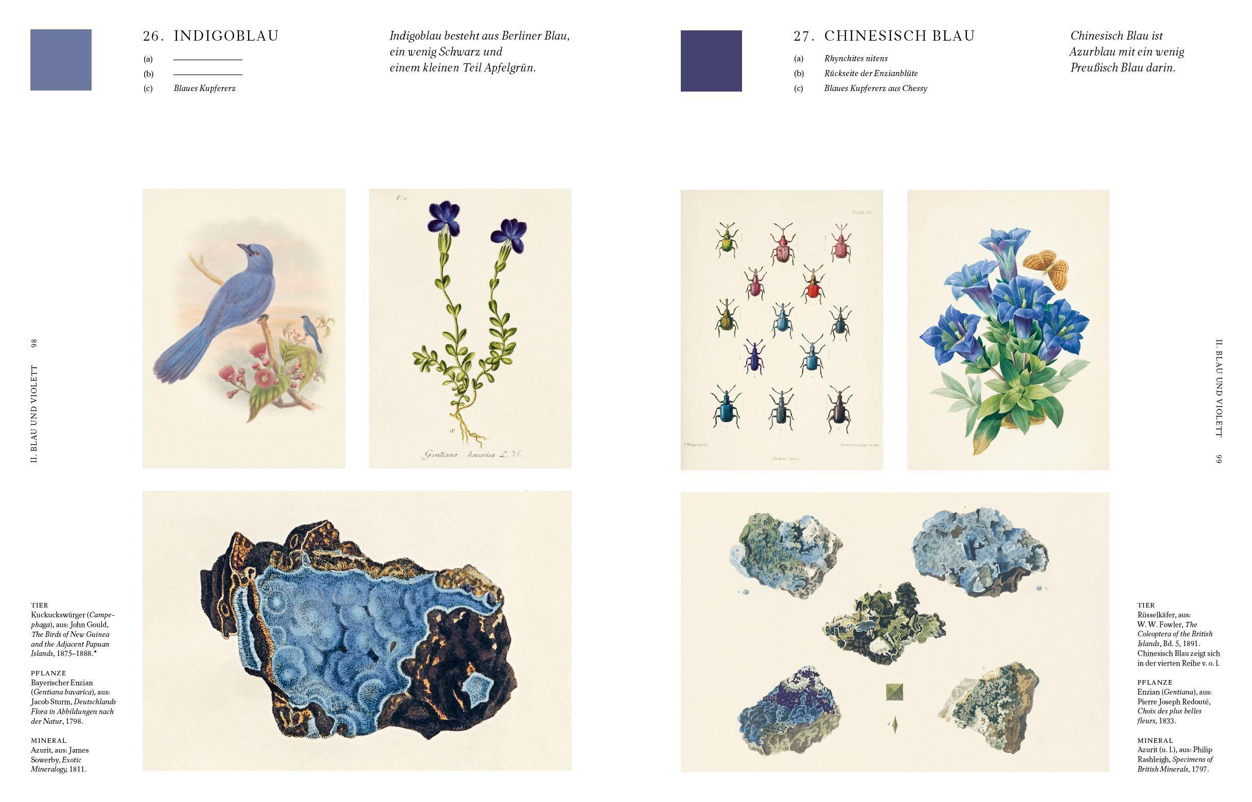 Beispielinhalt (Bild) Die Farben der Natur