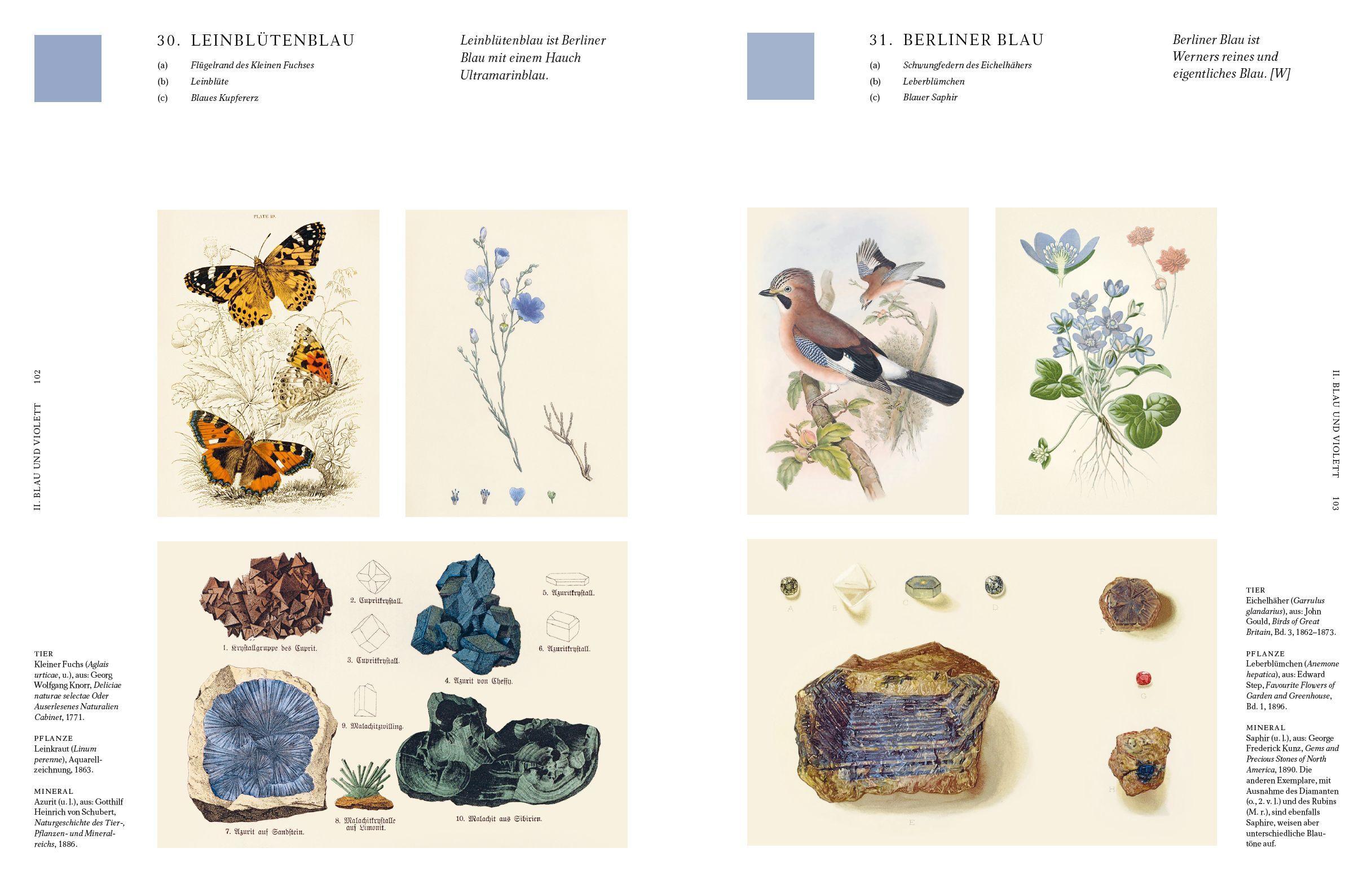 Beispielinhalt (Bild) Die Farben der Natur