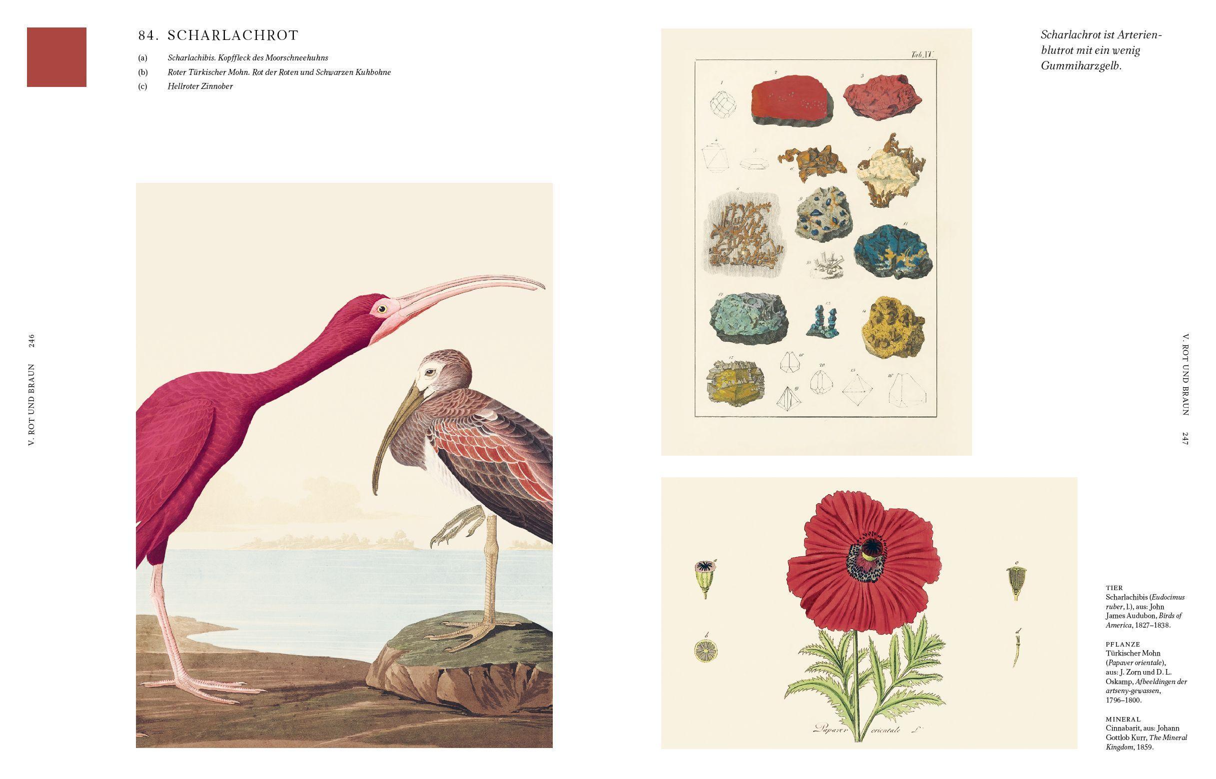 Beispielinhalt (Bild) Die Farben der Natur