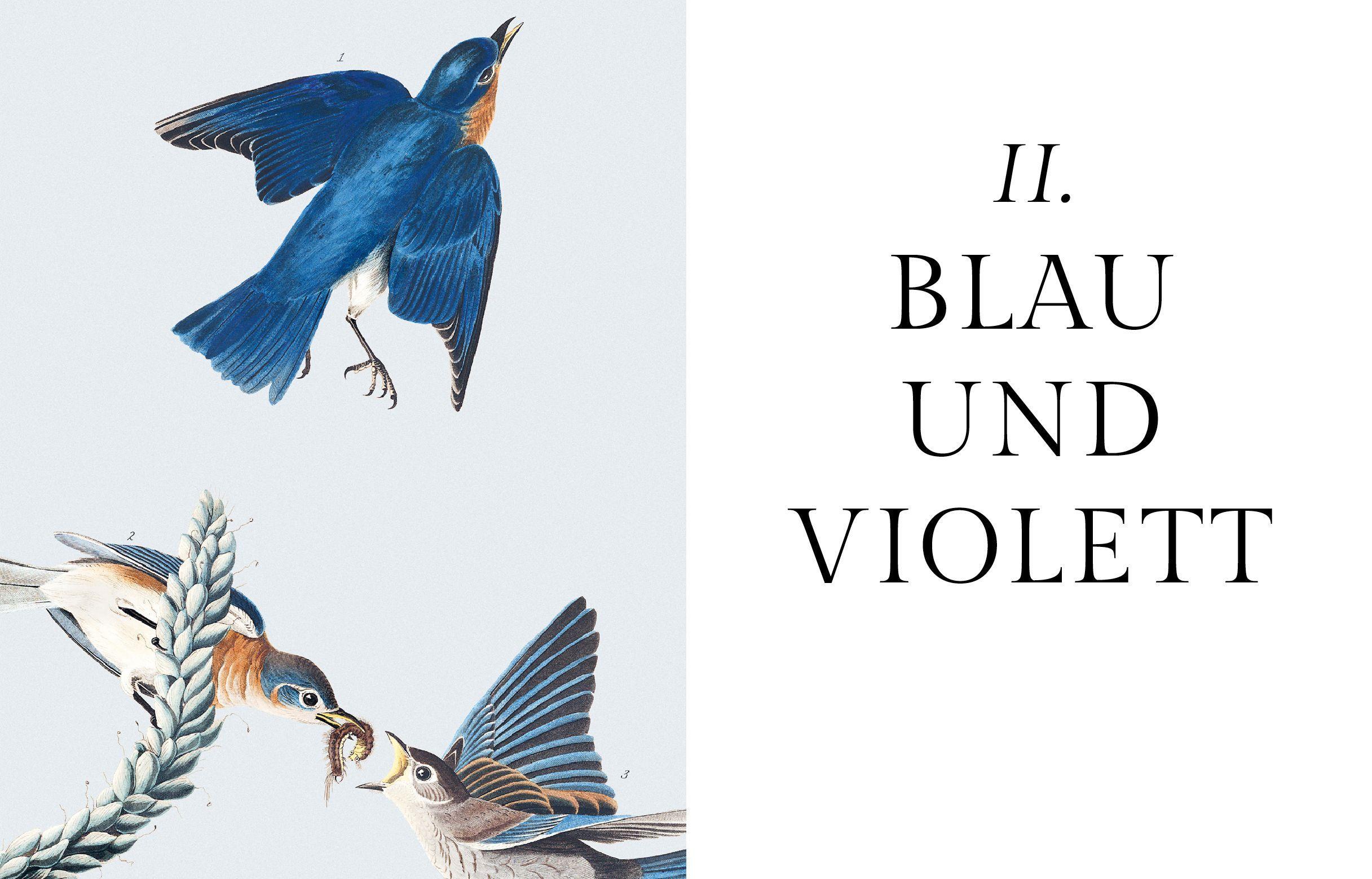 Beispielinhalt (Bild) Die Farben der Natur