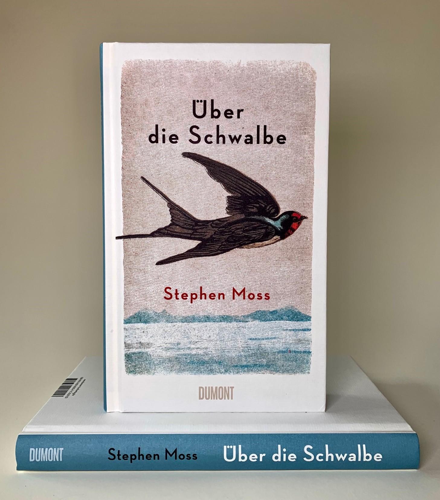 Beispielinhalt (Bild) Über die Schwalbe