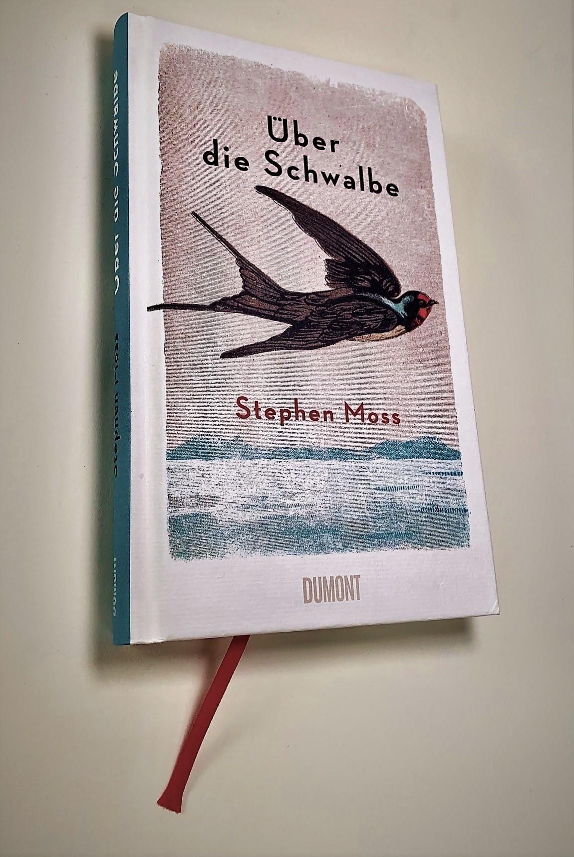 Beispielinhalt (Bild) Über die Schwalbe