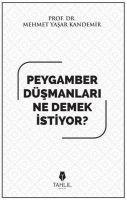 Vorderes Coverbild Peygamber Düsmanlari Ne Demek Istiyor