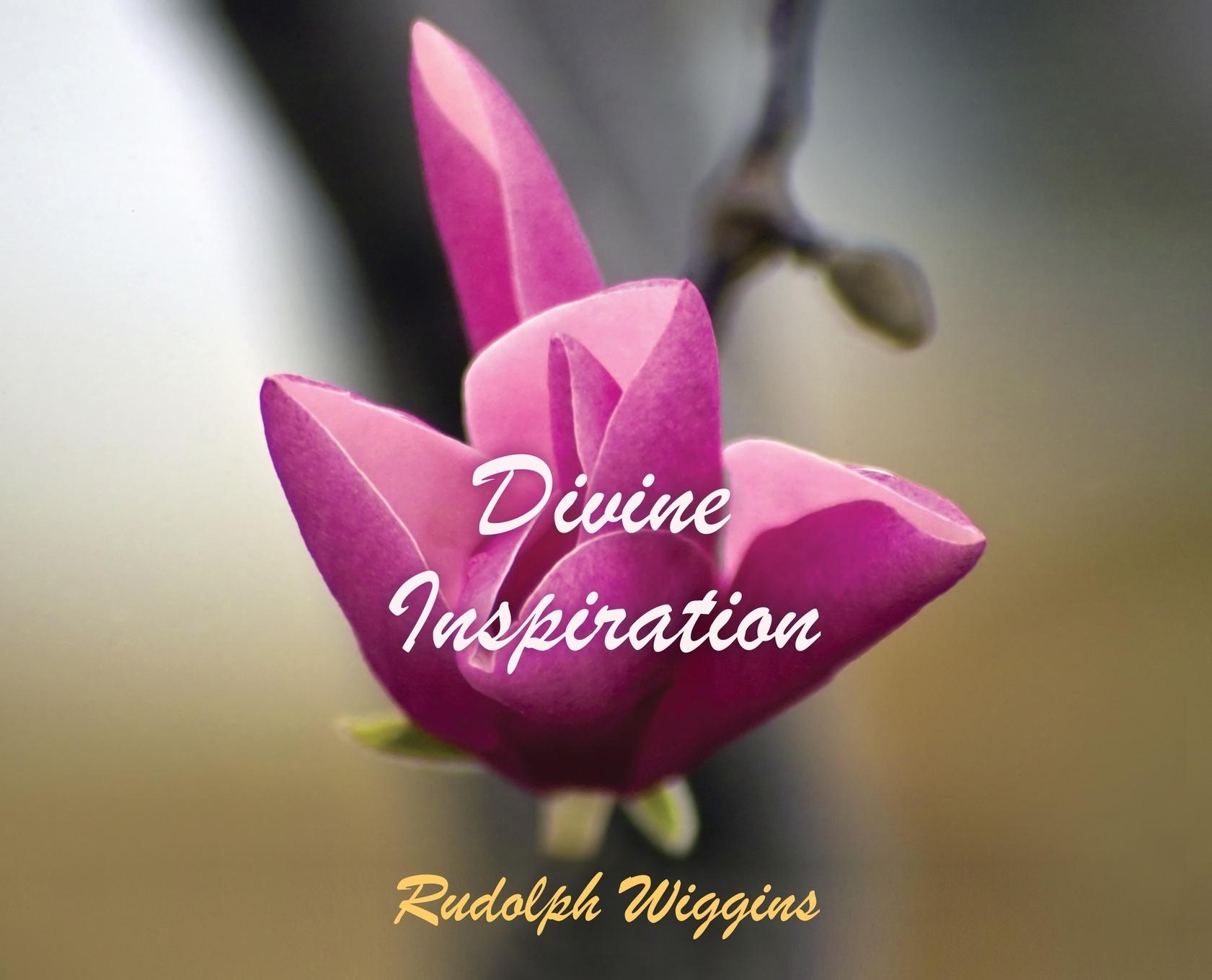 Vorderes Coverbild Divine Inspiration