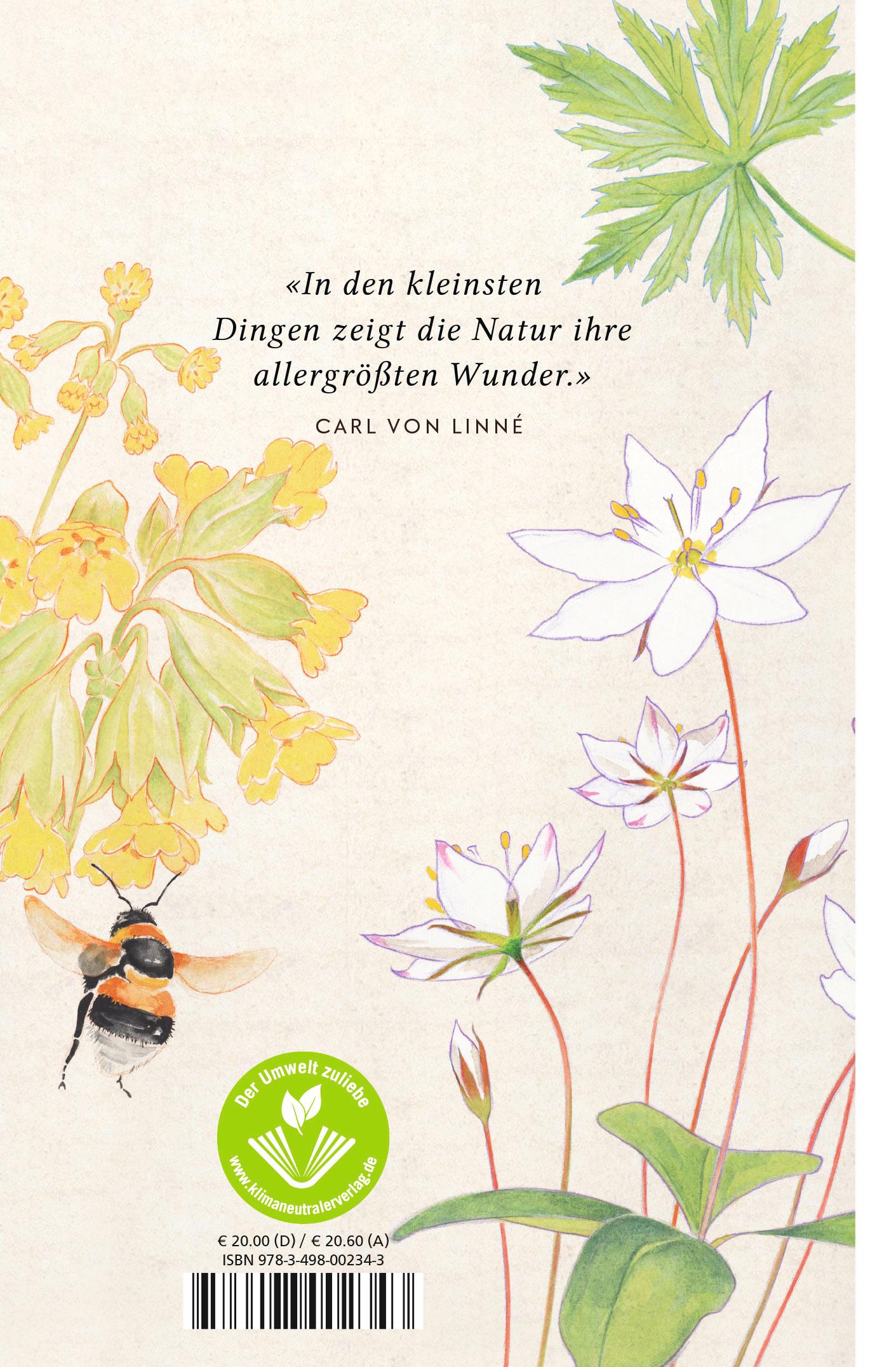 Rückseitencover Die Wildblumensammlerin