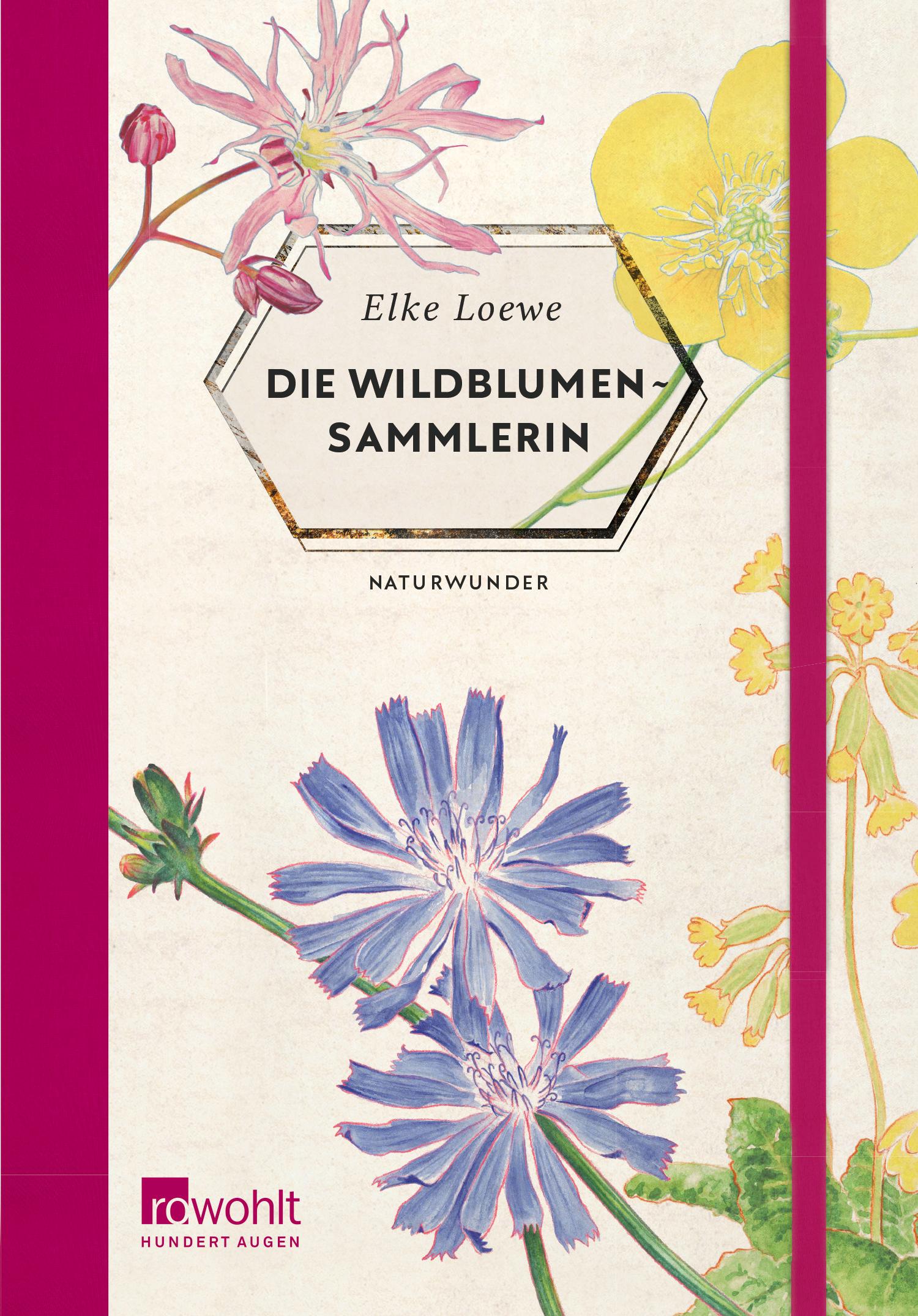 Vorderes Coverbild Die Wildblumensammlerin