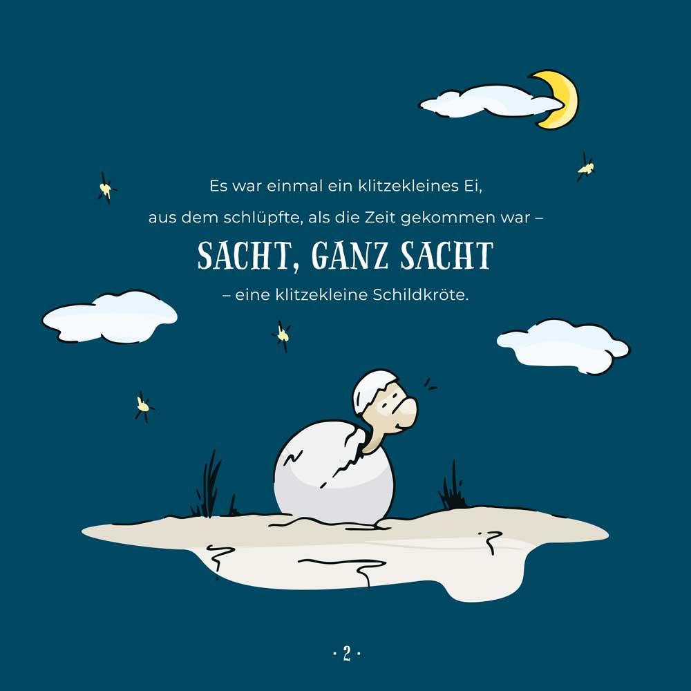 Beispielinhalt (Bild) Wohin des Weges kleine Schildkröte