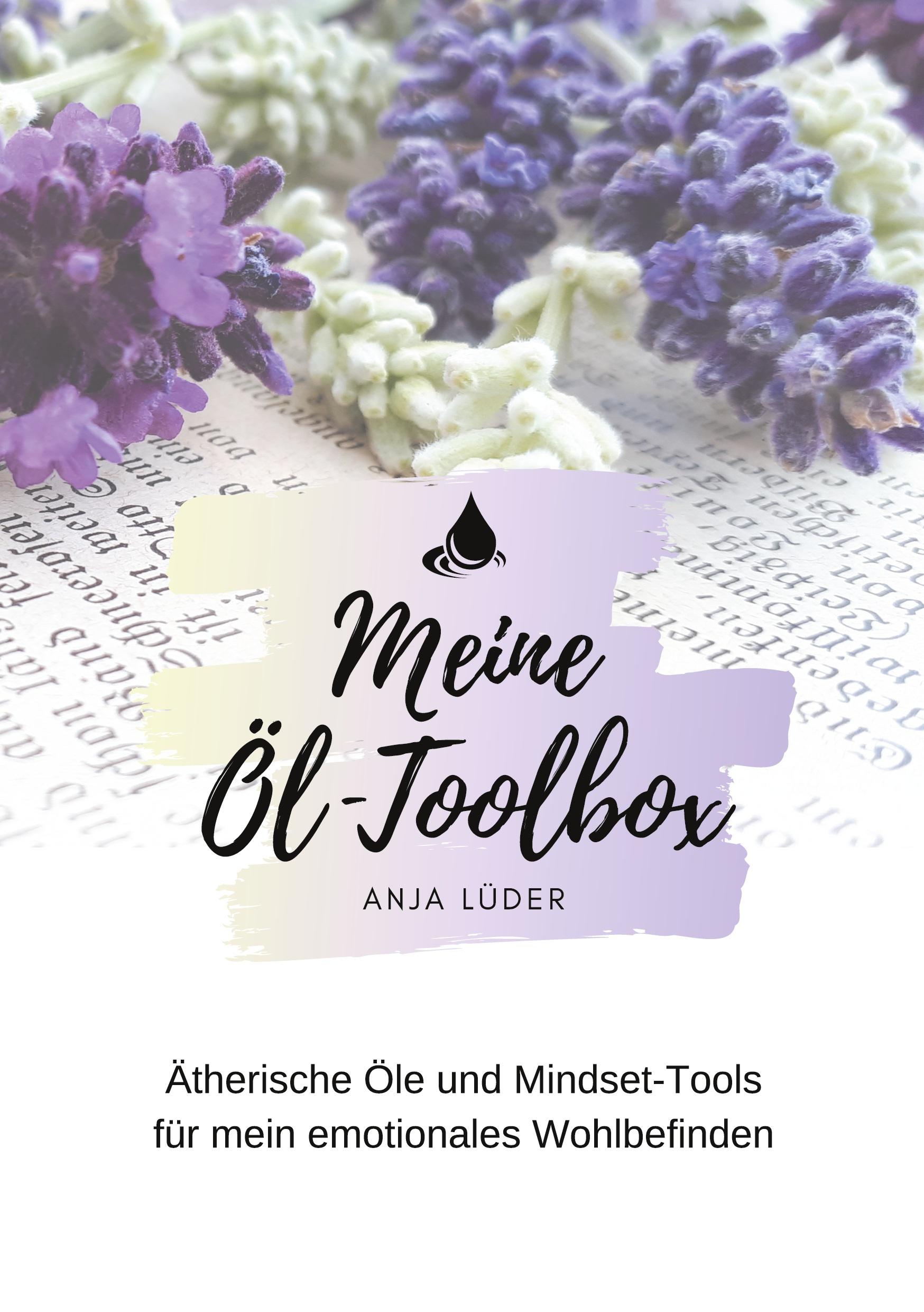 Vorderes Coverbild Meine Öl-Toolbox