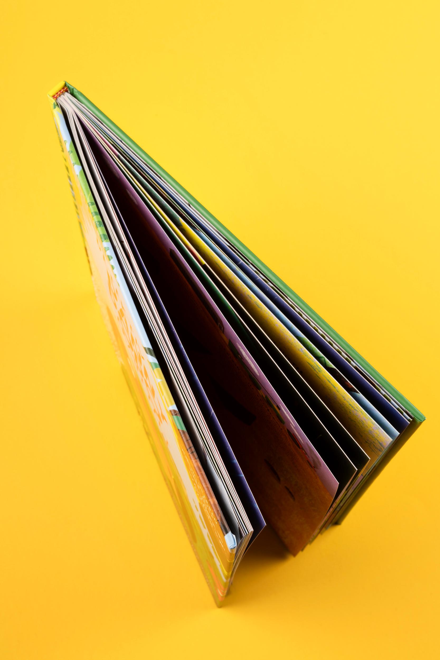 Beispielinhalt (Bild) Detektiv Danny Dodo ermittelt