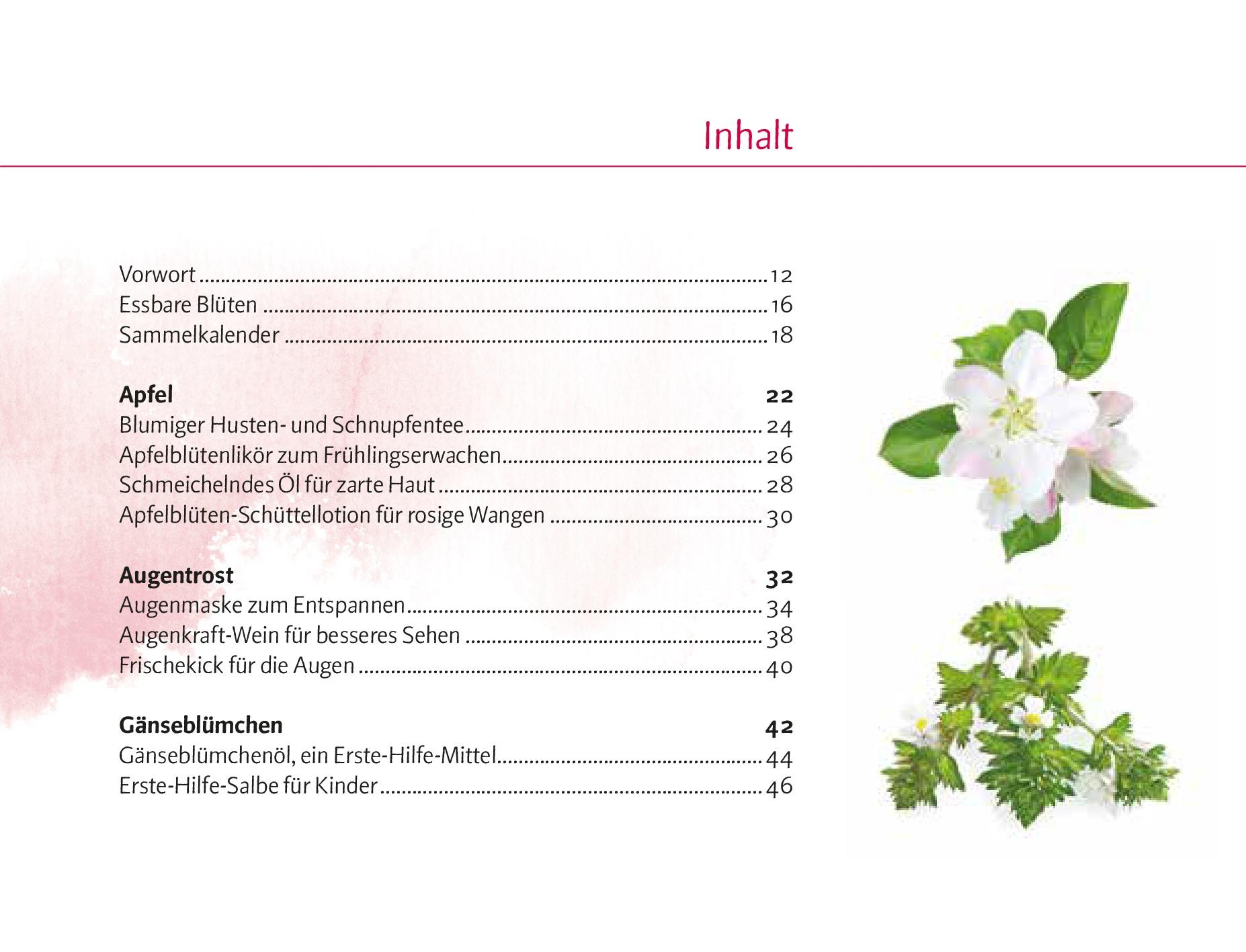 Beispielinhalt (Bild) Verlockende Blüten