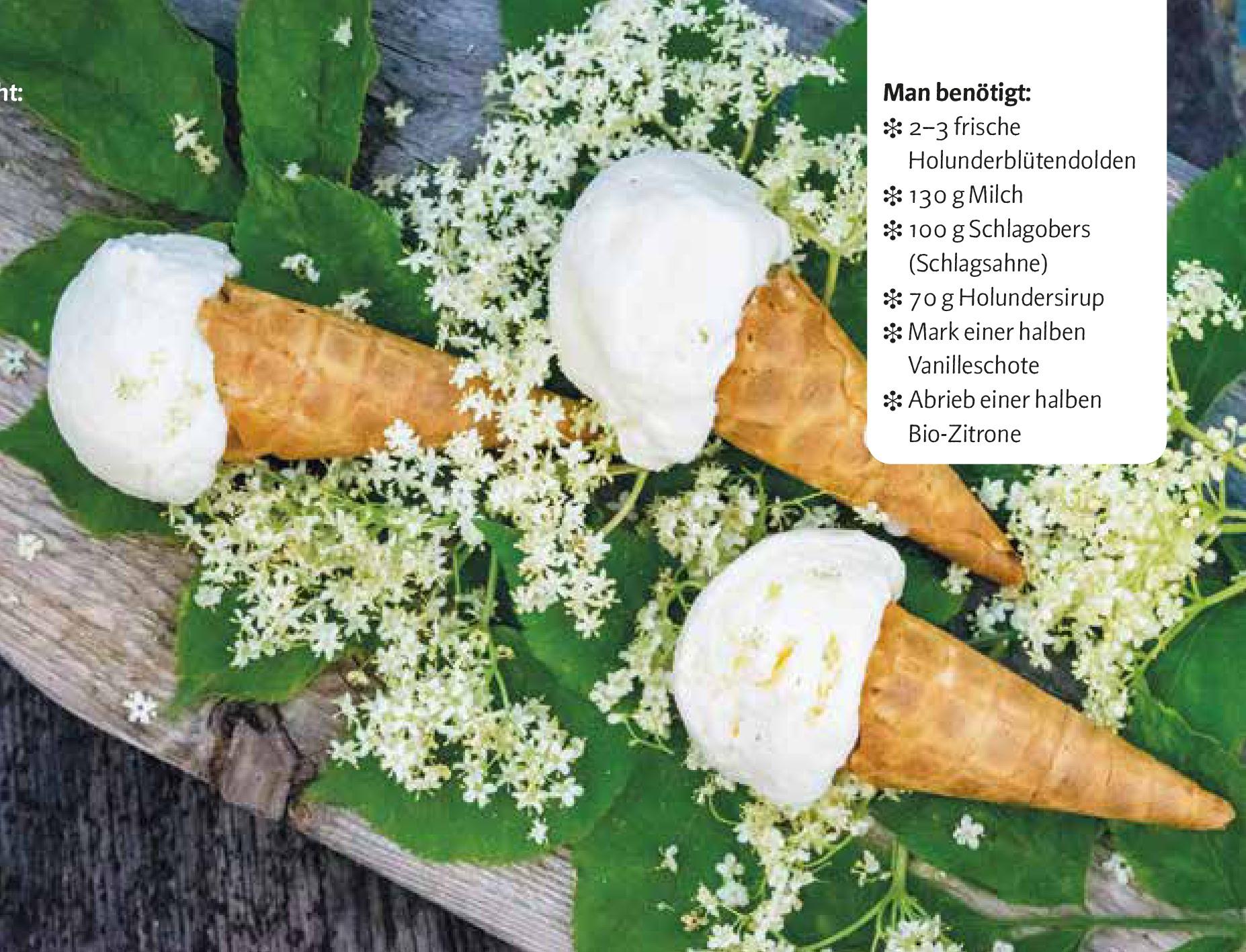 Beispielinhalt (Bild) Verlockende Blüten