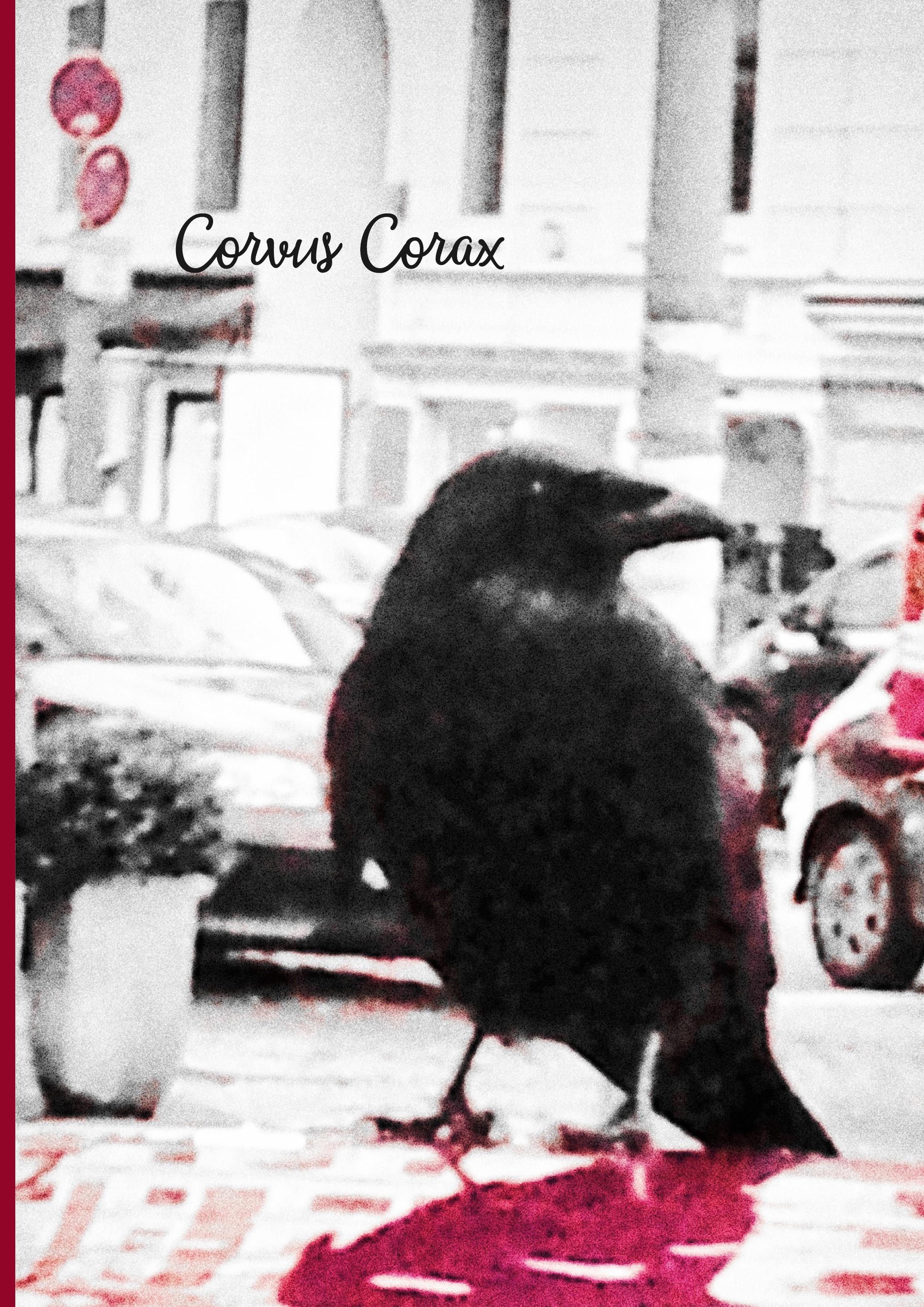 Vorderes Coverbild Corvus Corax