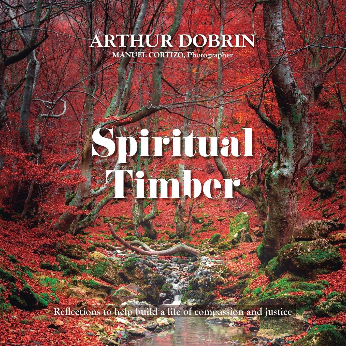 Vorderes Coverbild Spiritual Timber
