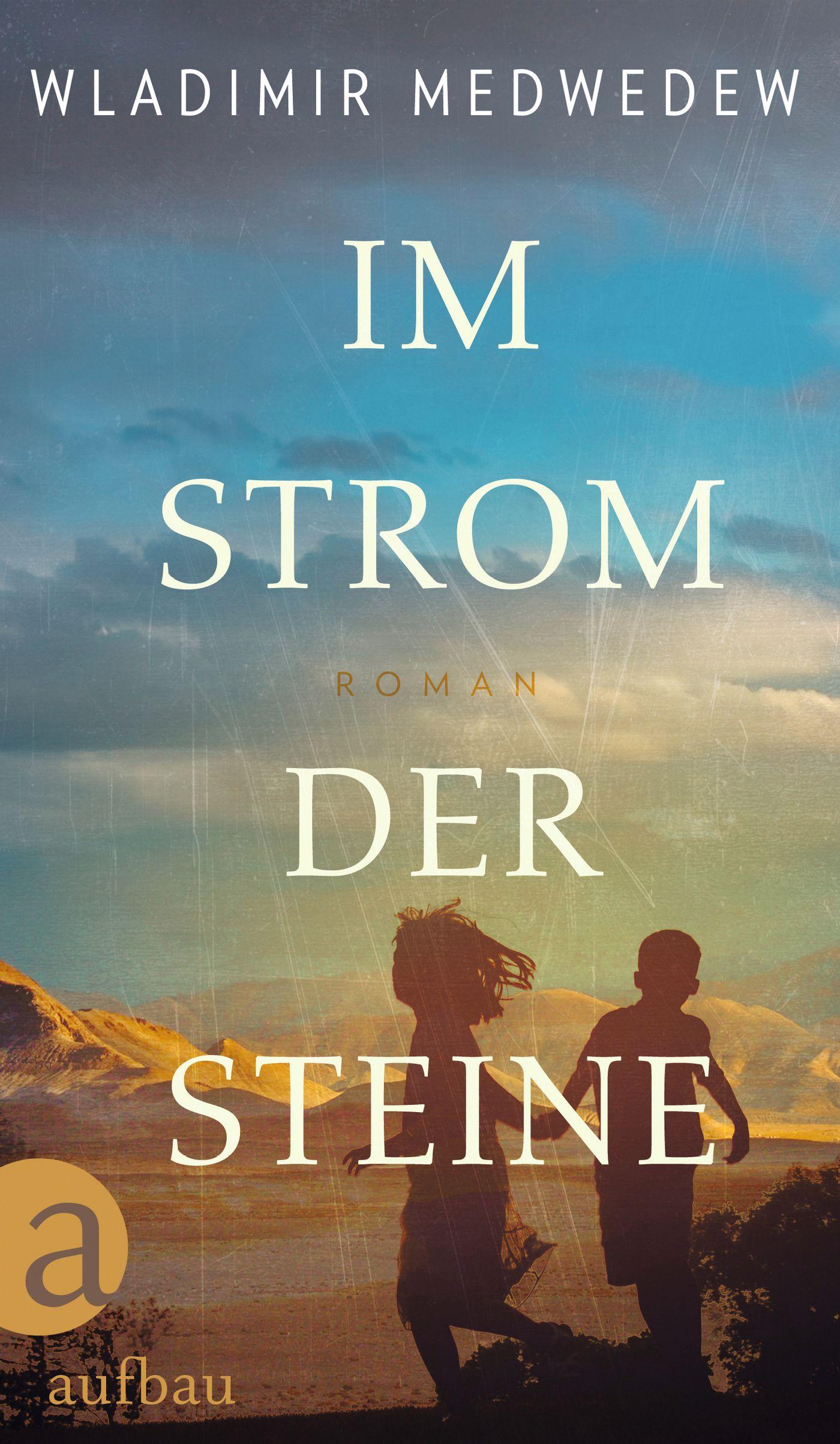 Vorderes Coverbild Im Strom der Steine
