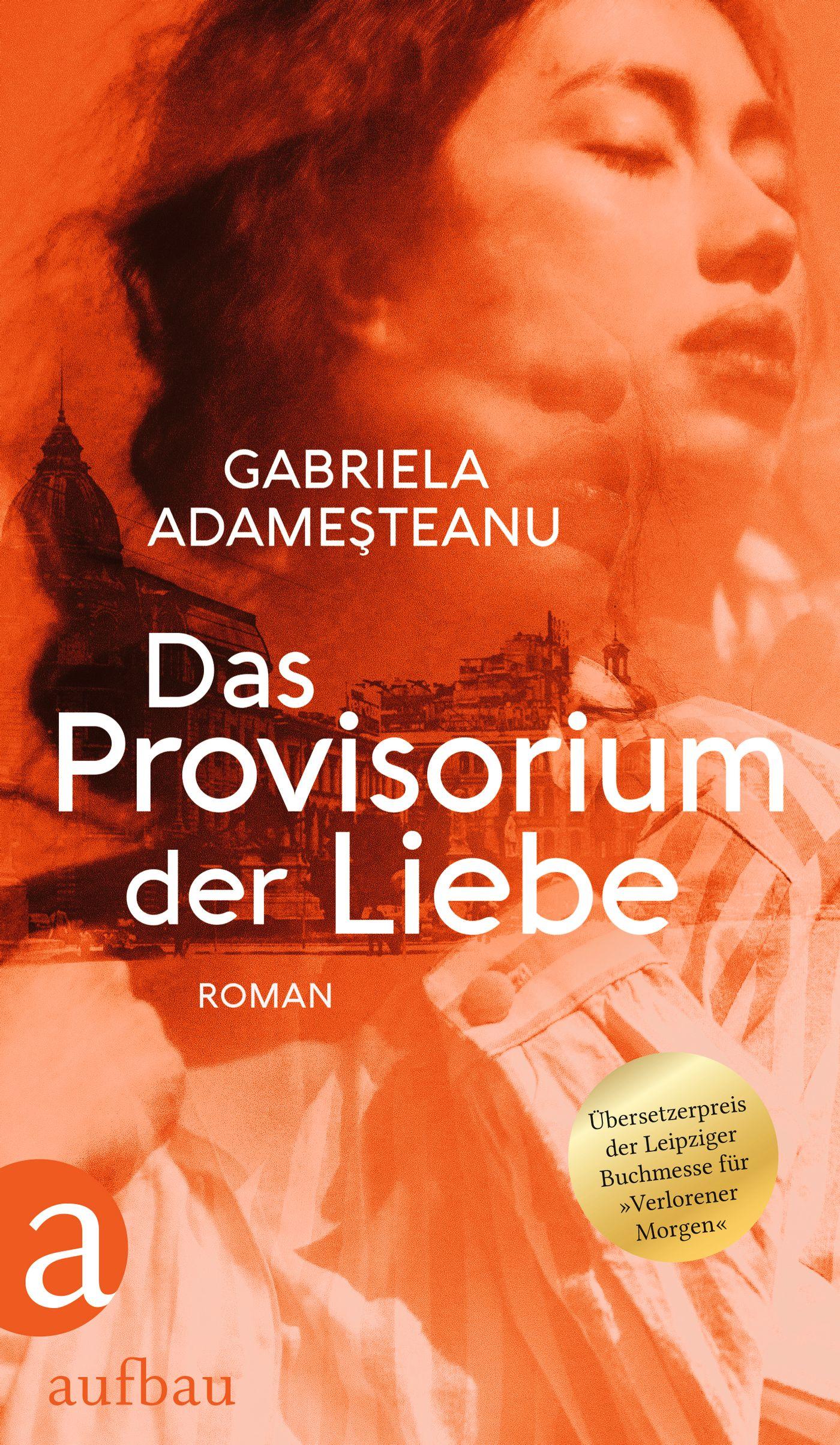 Vorderes Coverbild Das Provisorium der Liebe