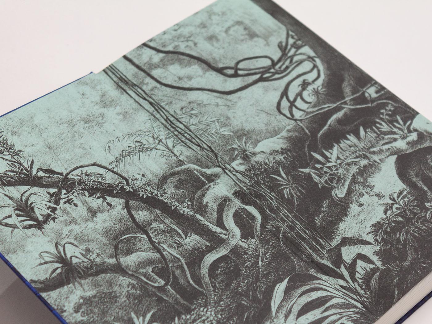 Beispielinhalt (Bild) Unser Rousseau