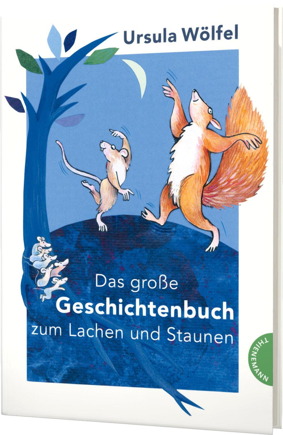 Vorderes Coverbild Das große Geschichtenbuch zum Lachen und Staunen