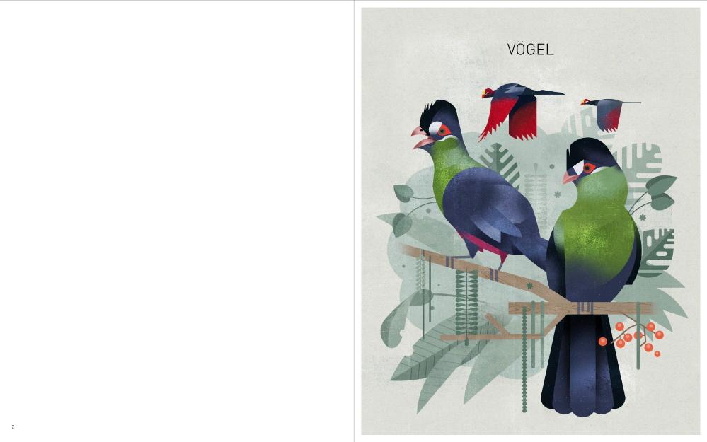 Beispielinhalt (Bild) Outlines