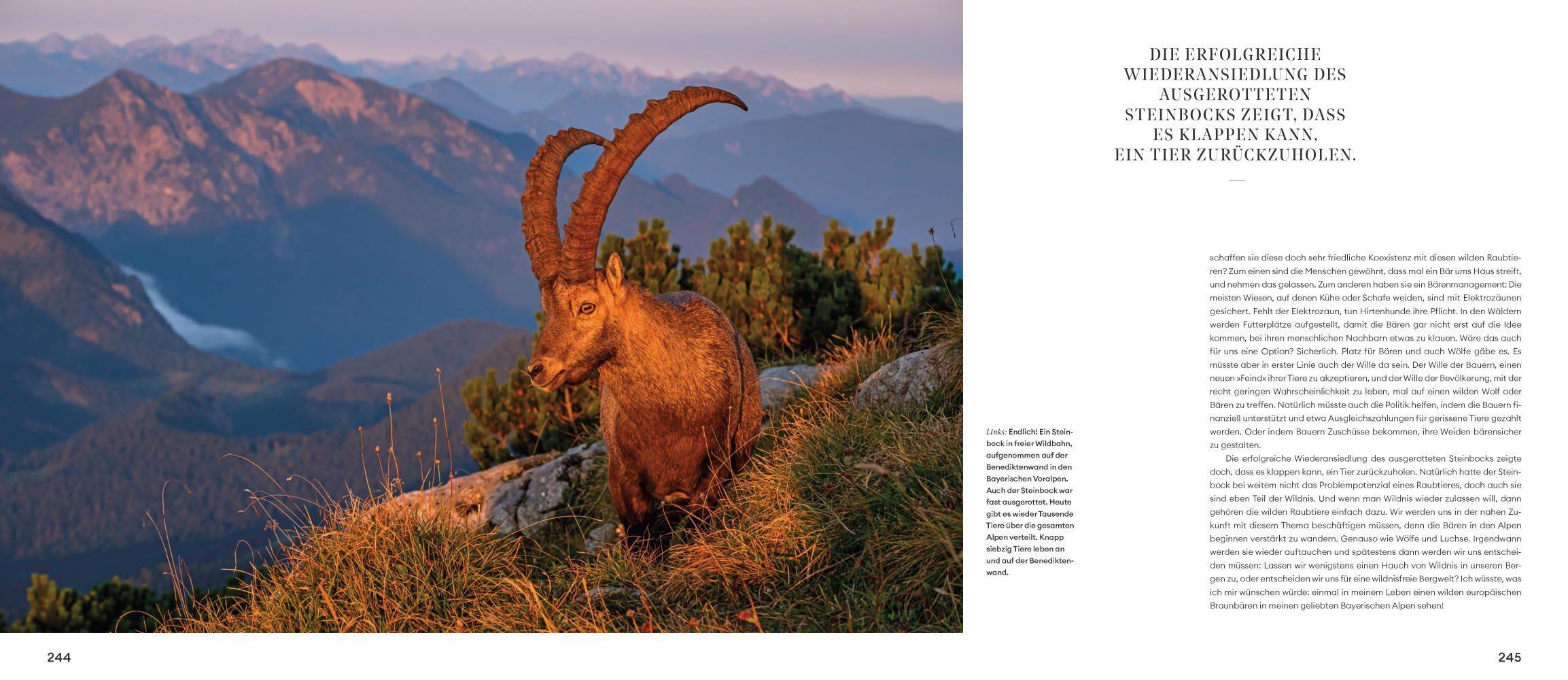 Beispielinhalt (Bild) Naturwunder Bayerische Alpen