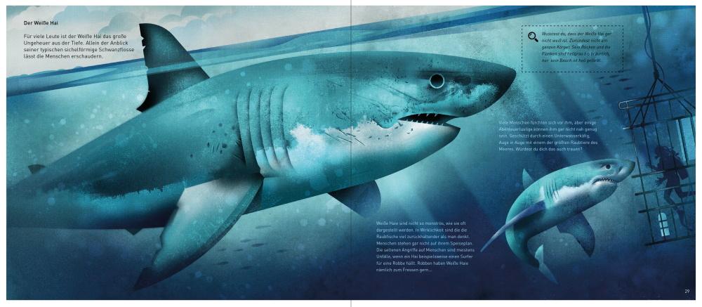 Beispielinhalt (Bild) Die Welt der Meere