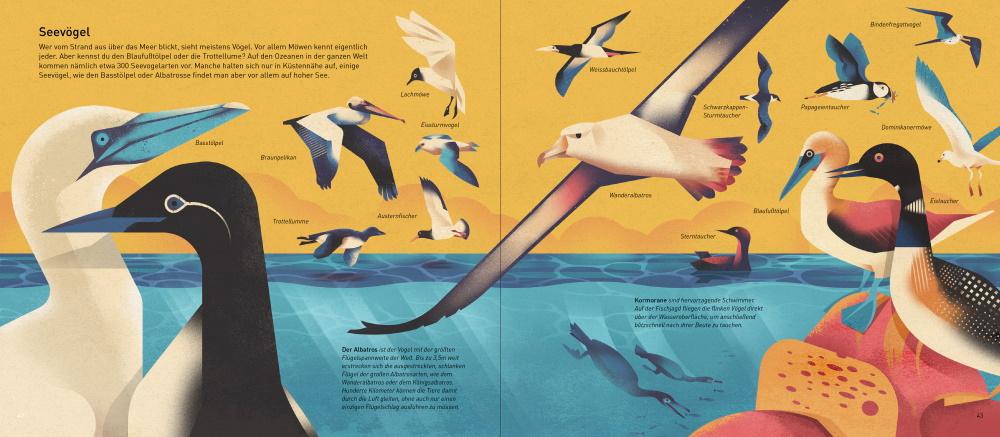 Beispielinhalt (Bild) Die Welt der Meere