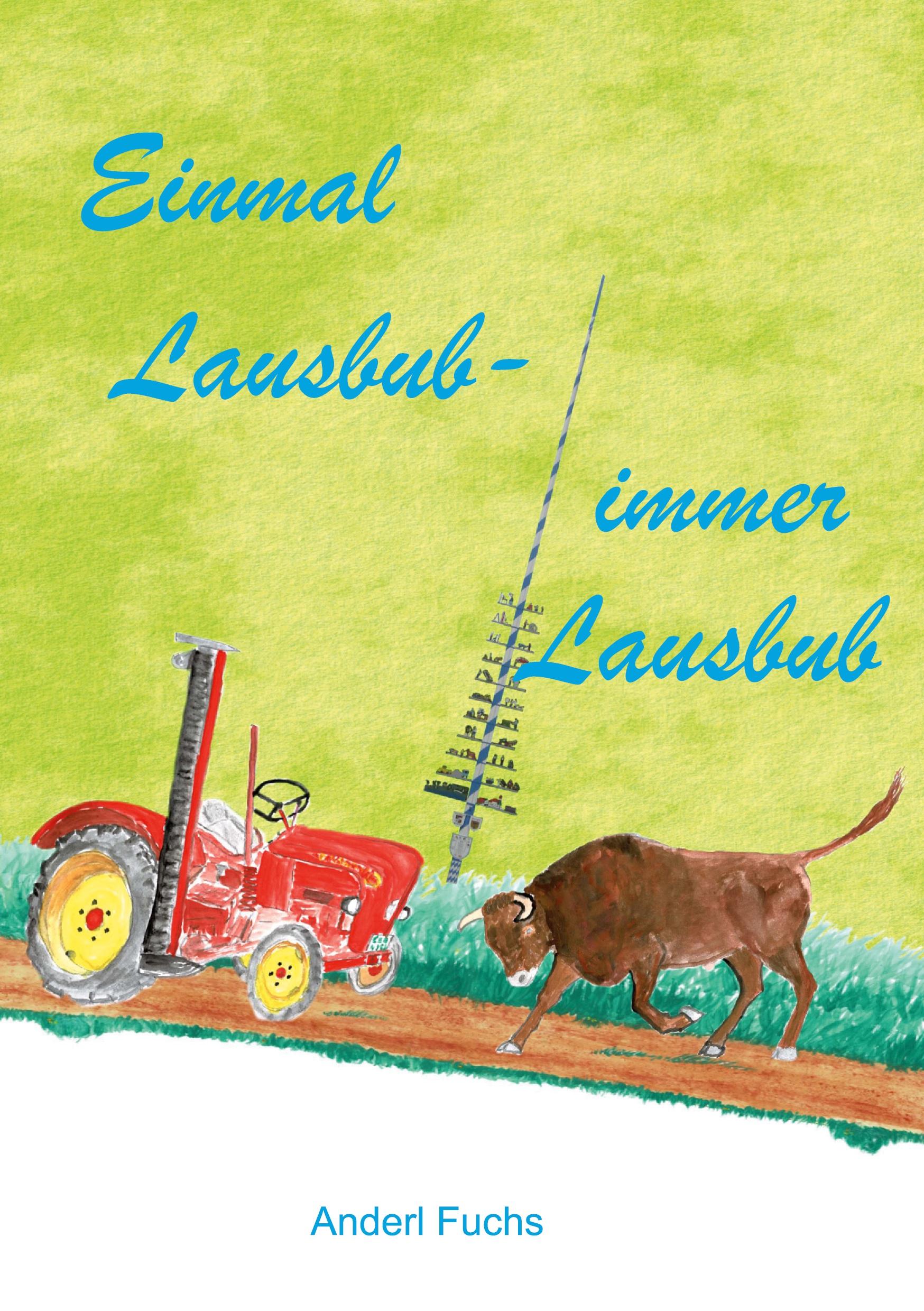 Vorderes Coverbild Einmal Lausbub - immer Lausbub