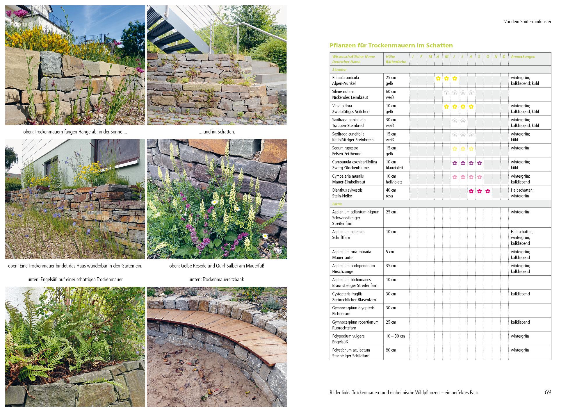 Beispielinhalt (Bild) Kleiner Garten naturnah