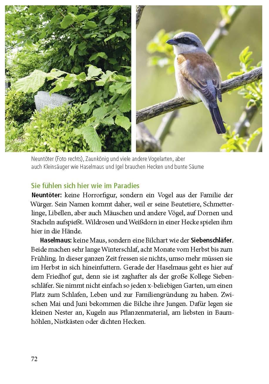Beispielinhalt (Bild) Der Friedhof lebt!