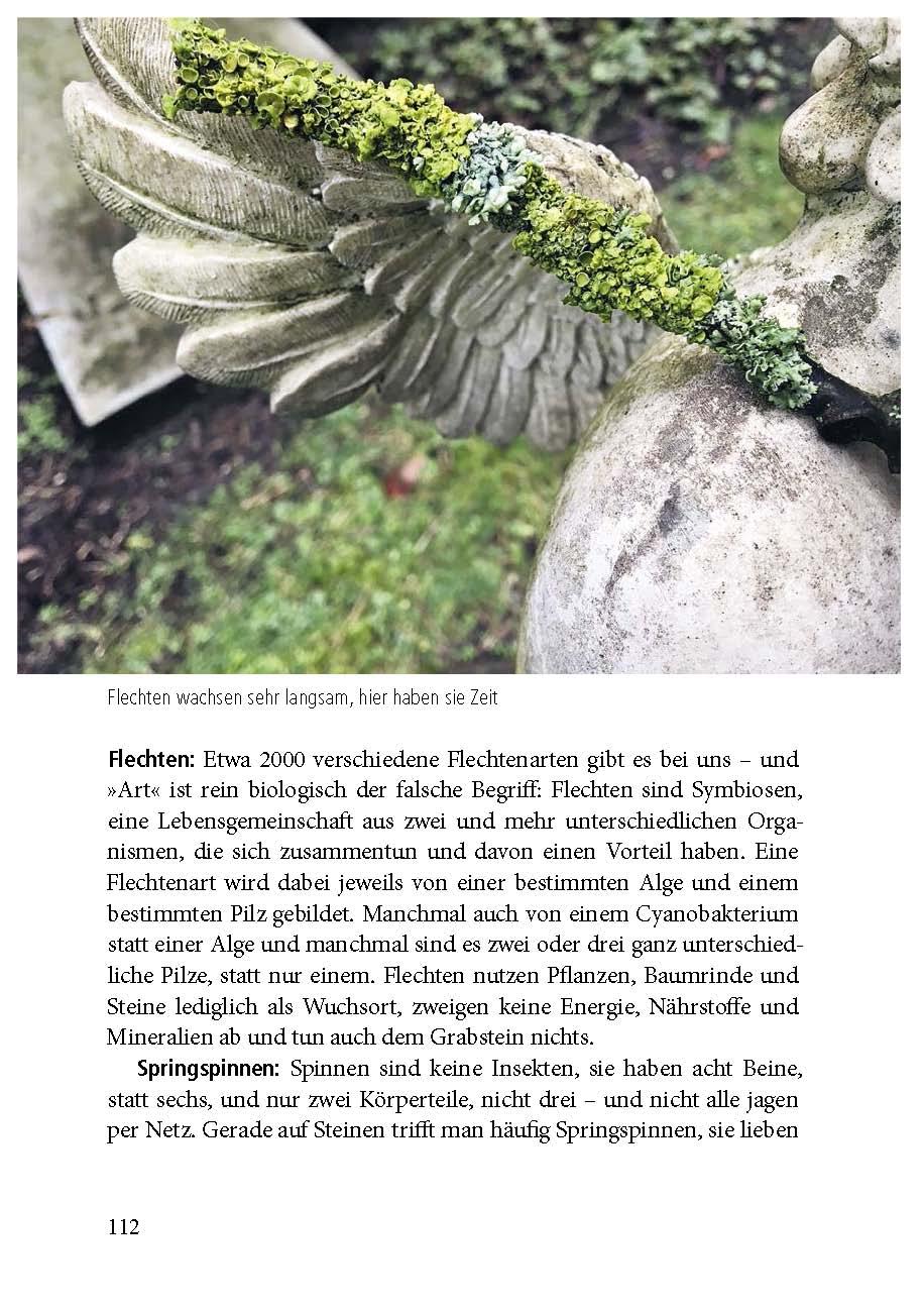 Beispielinhalt (Bild) Der Friedhof lebt!