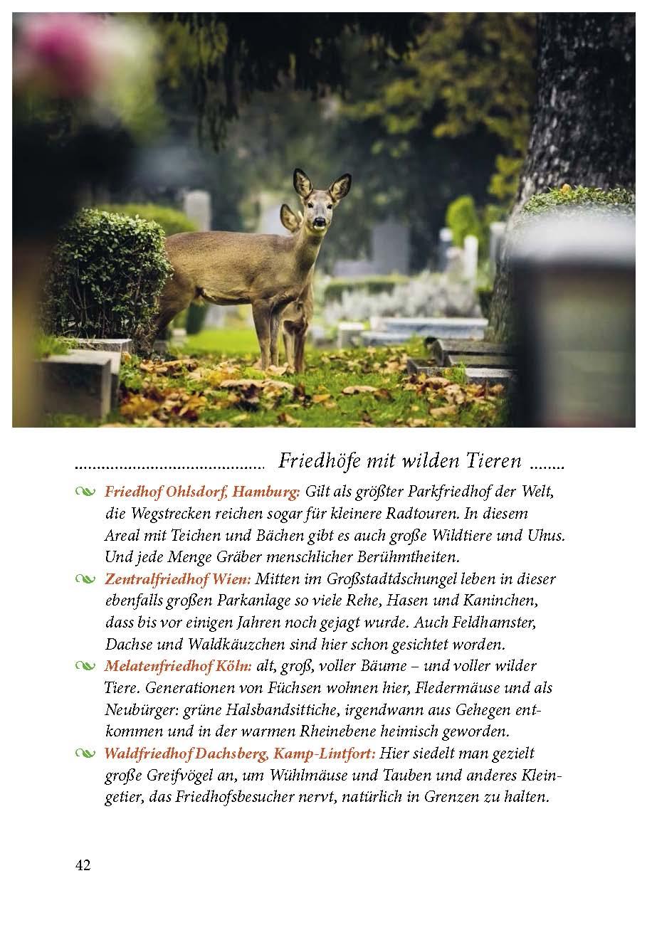 Beispielinhalt (Bild) Der Friedhof lebt!
