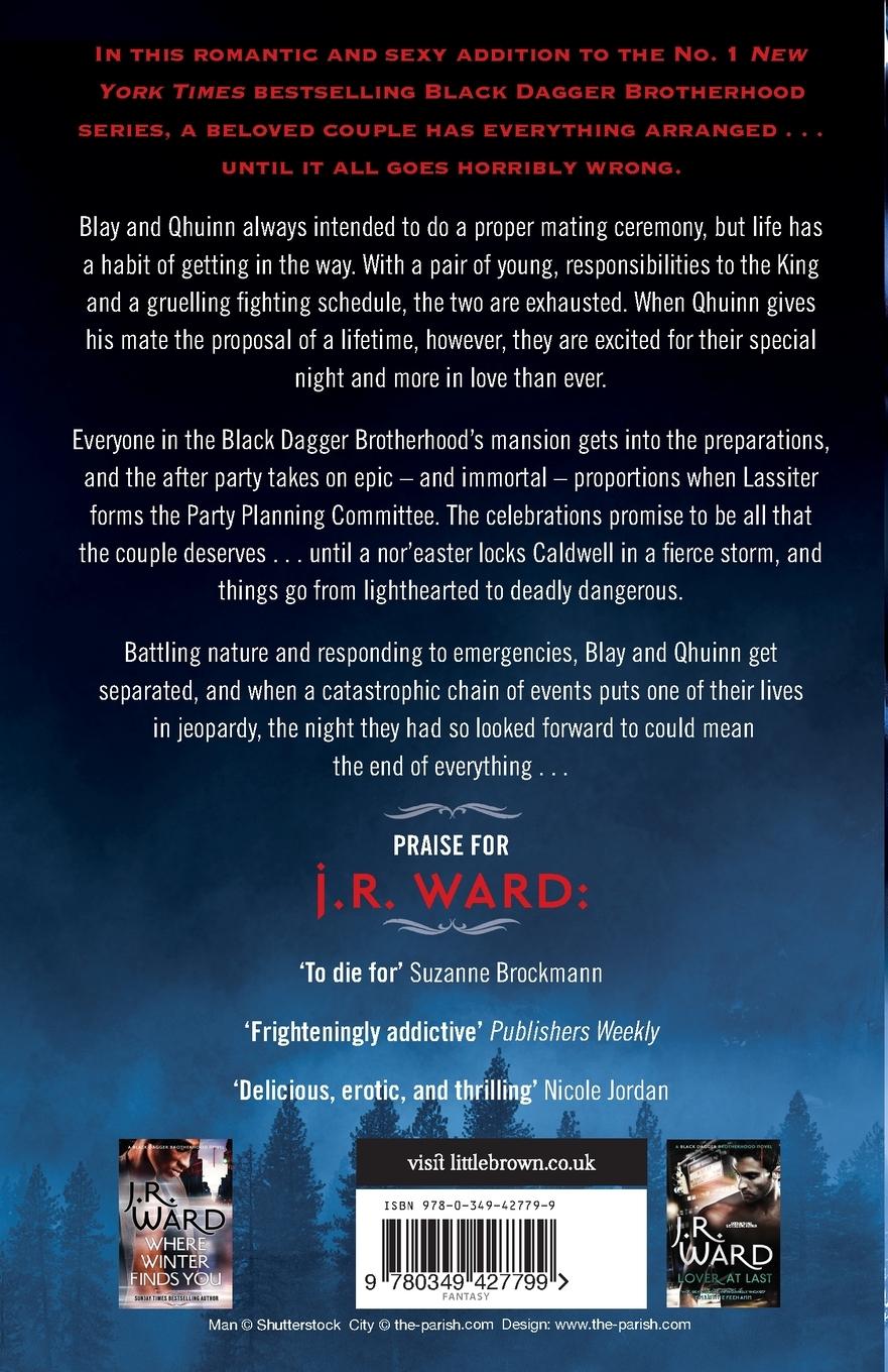 Rückseitencover A Warm Heart in Winter