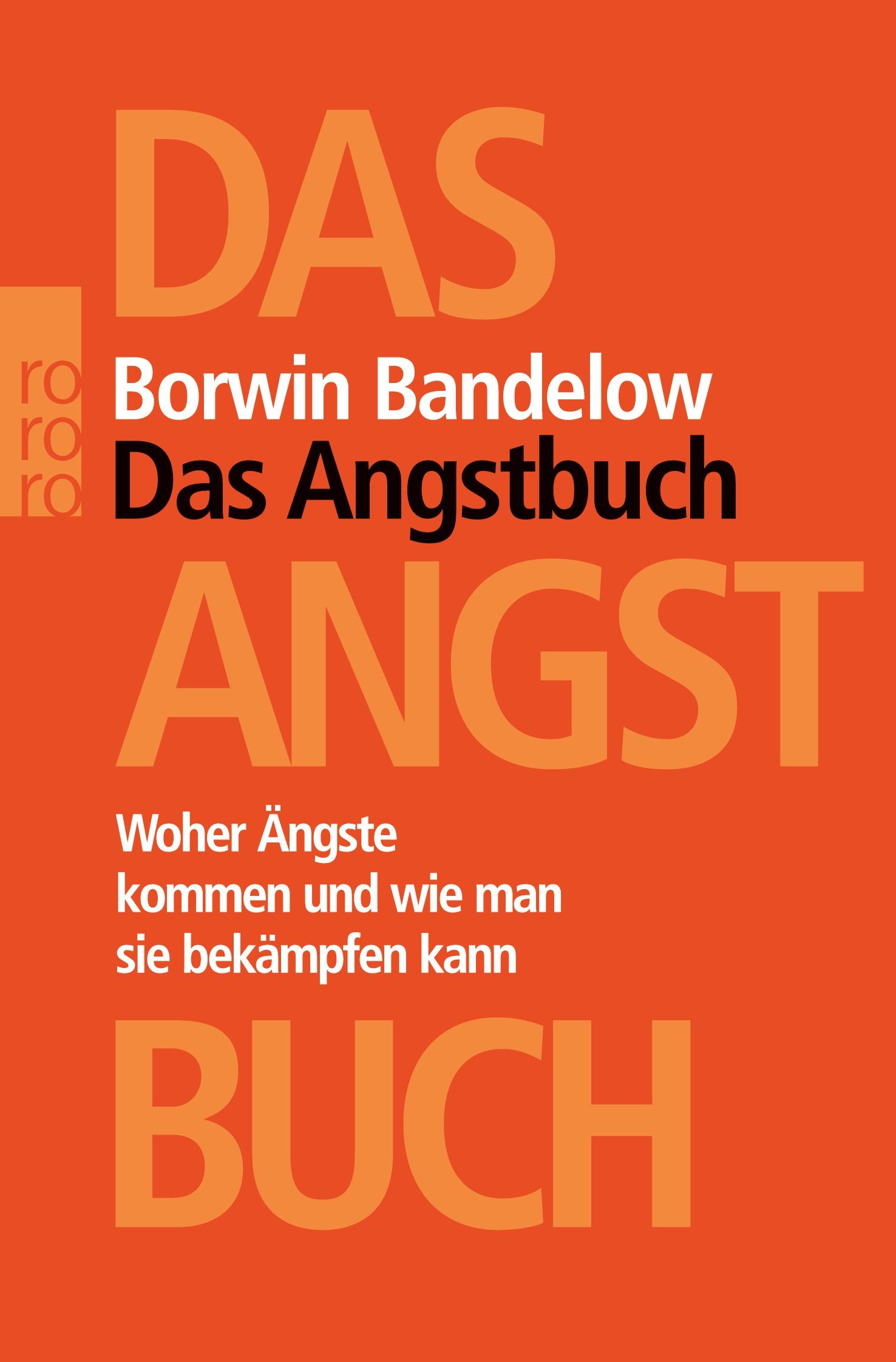 Vorderes Coverbild Das Angstbuch