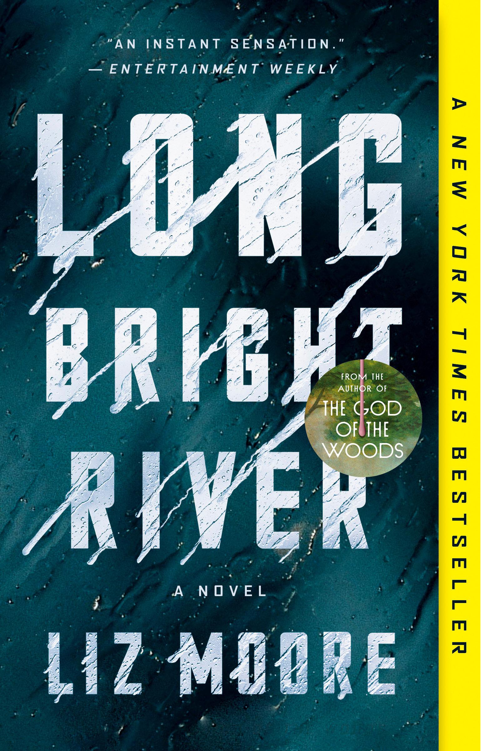 Vorderes Coverbild Long Bright River
