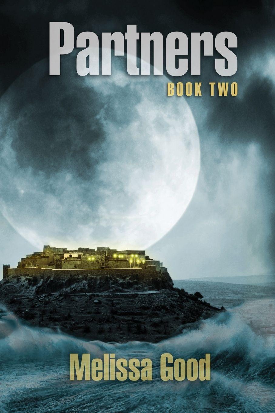 Vorderes Coverbild Partners-Book Two