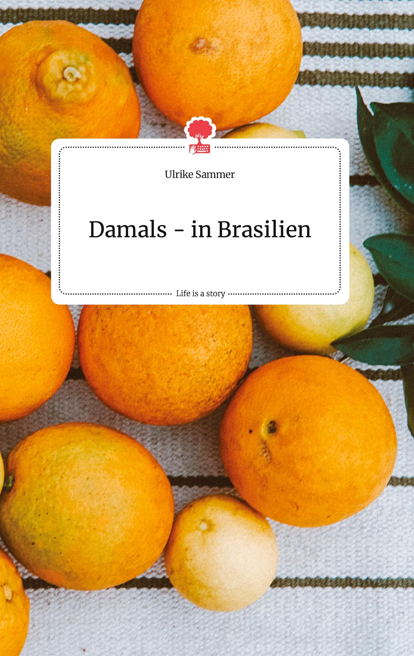 Vorderes Coverbild Damals - in Brasilien. Life is a Story - story.one