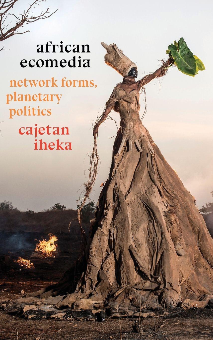 Vorderes Coverbild African Ecomedia