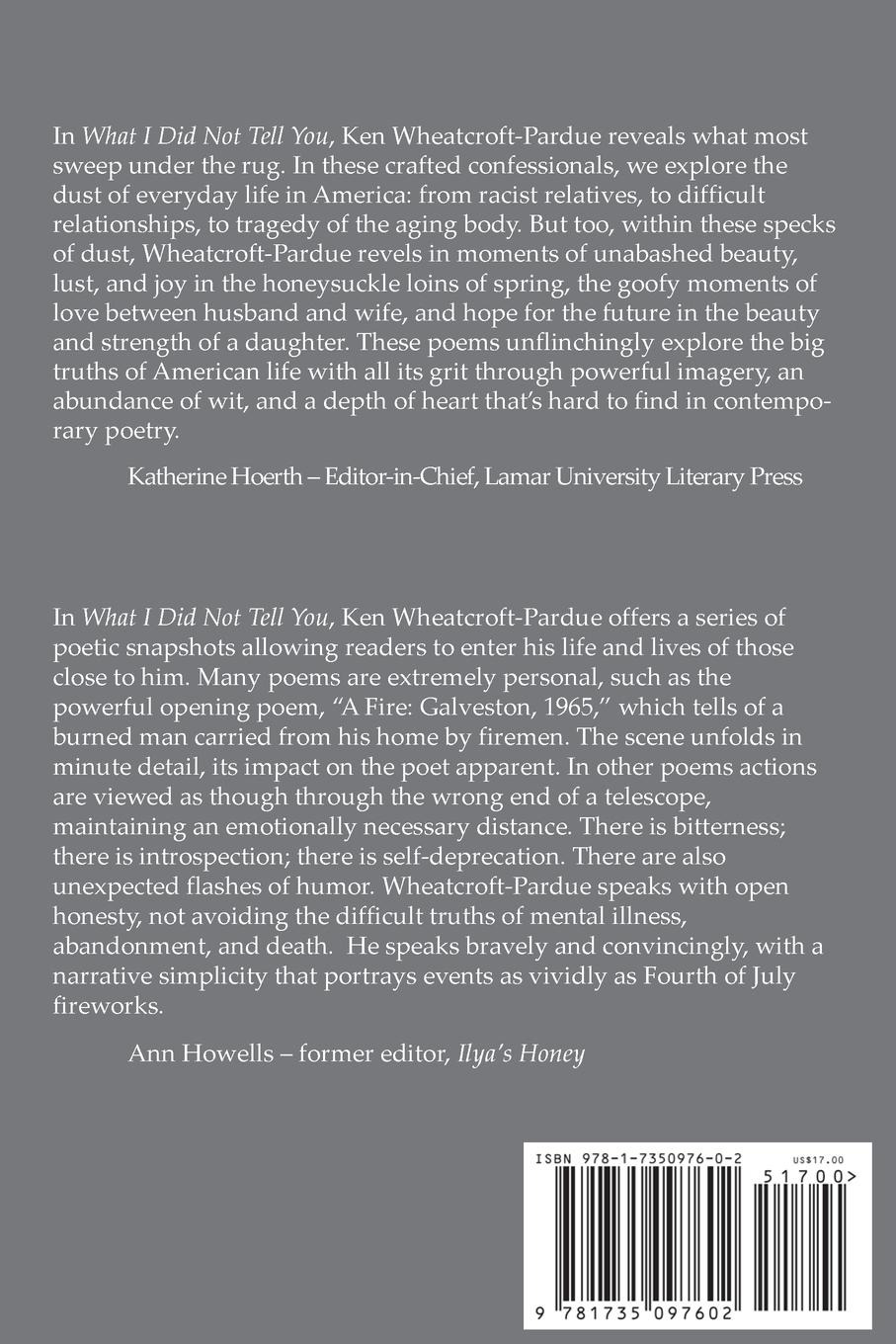 Rückseitencover What I Did Not Tell You