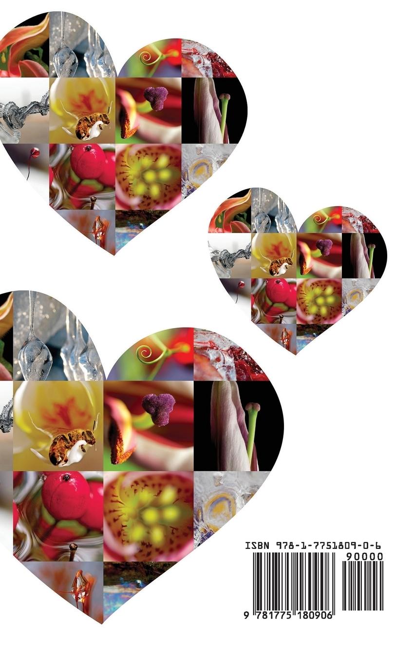 Rückseitencover Screw Chocolate