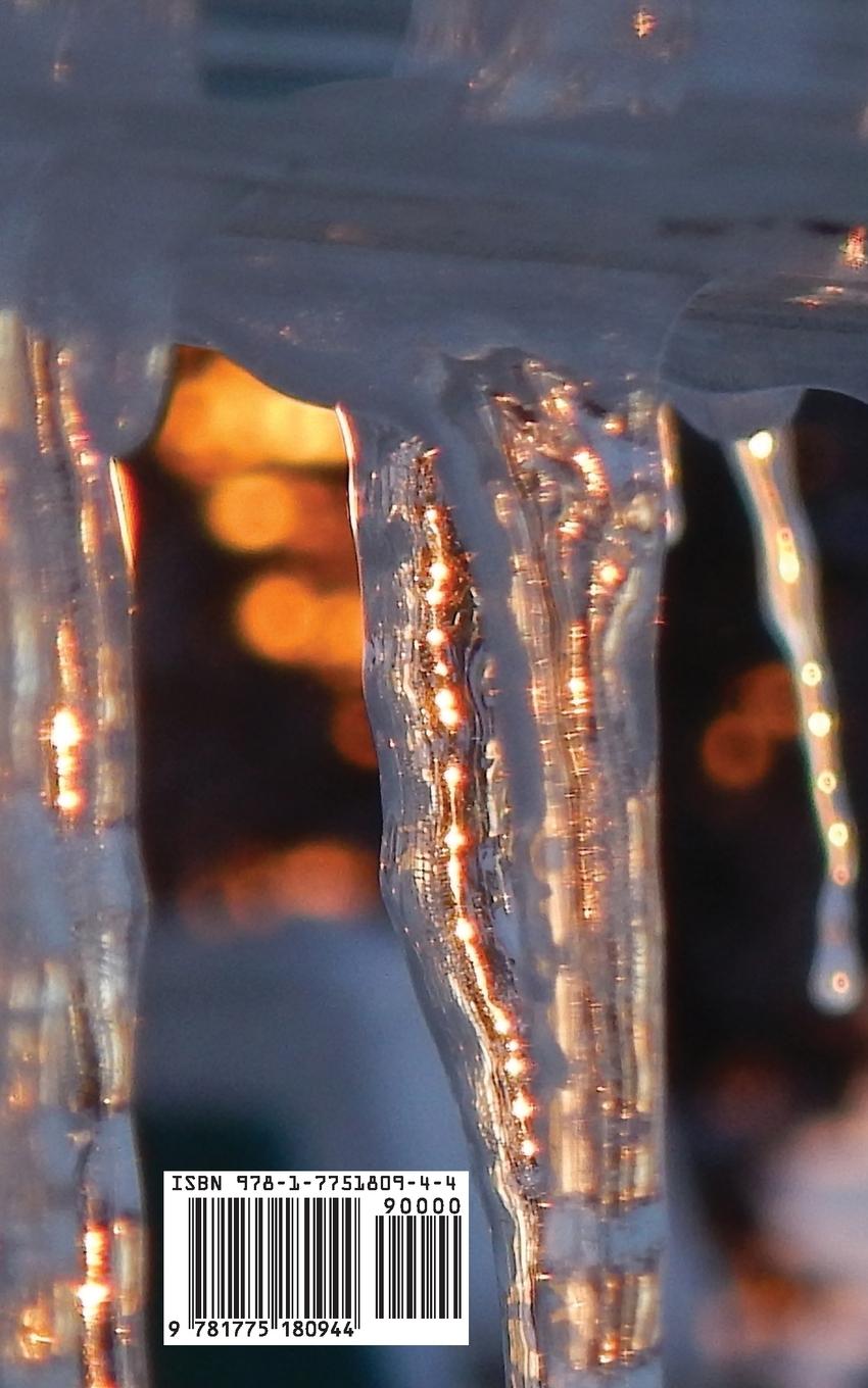 Rückseitencover Screw Chocolate 2