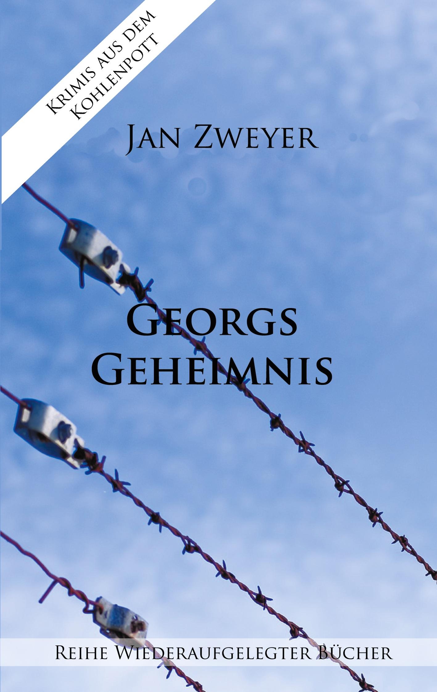Vorderes Coverbild Georgs Geheimnis