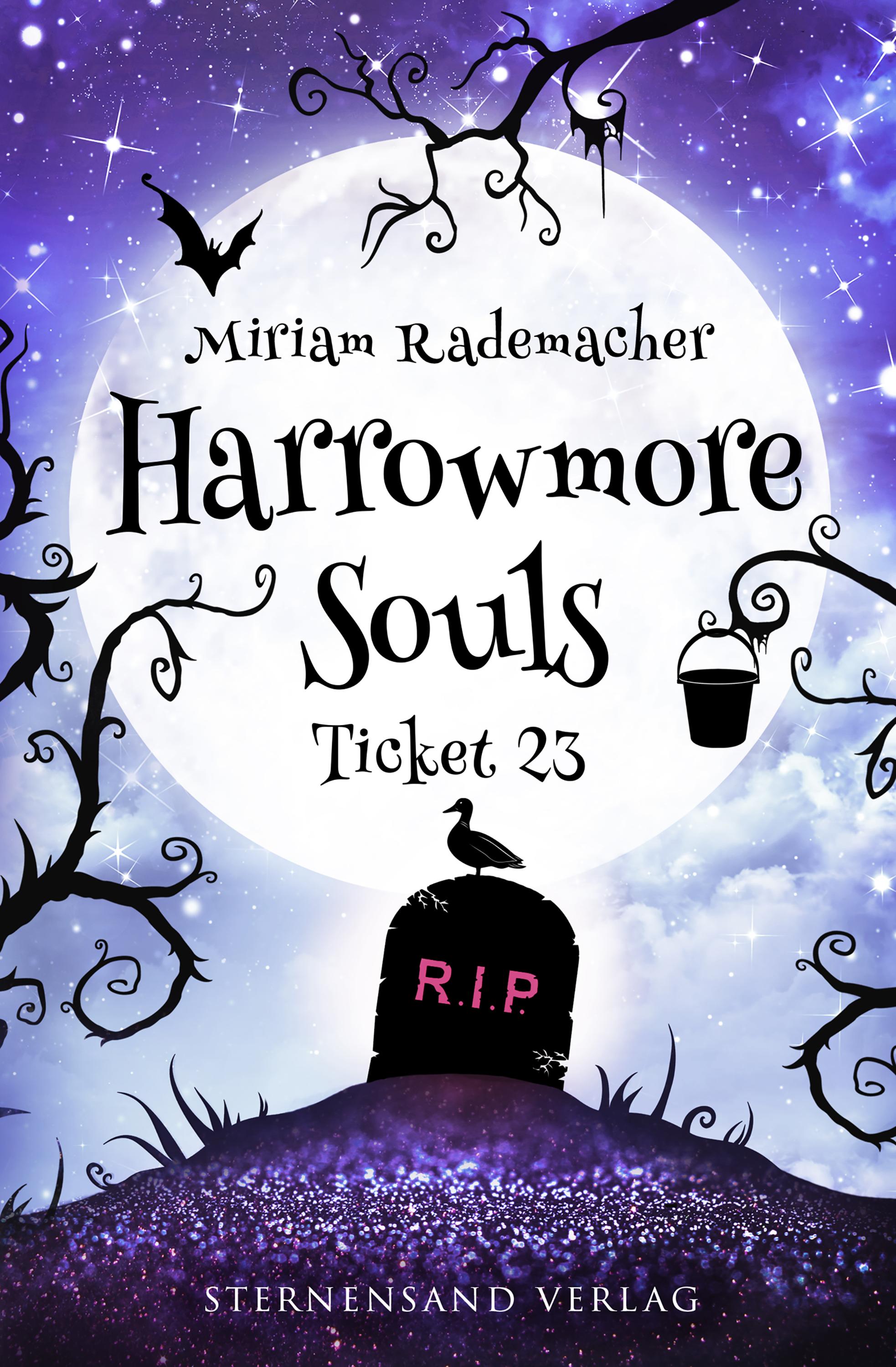 Vorderes Coverbild Harrowmore Souls (Band 2): Ticket 23