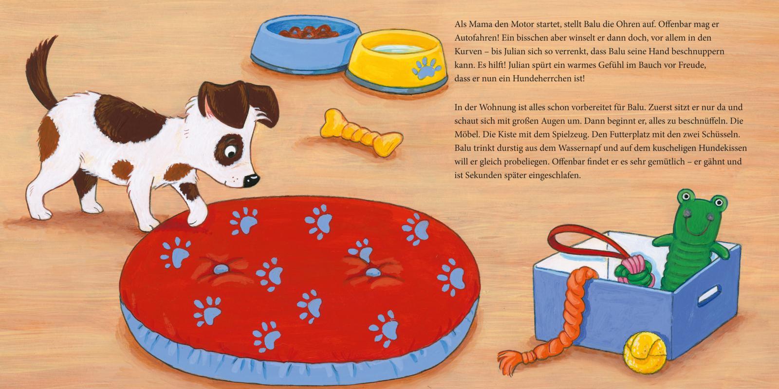 Beispielinhalt (Bild) LESEMAUS 176: Der kleine Hund - alles, was du wissen willst