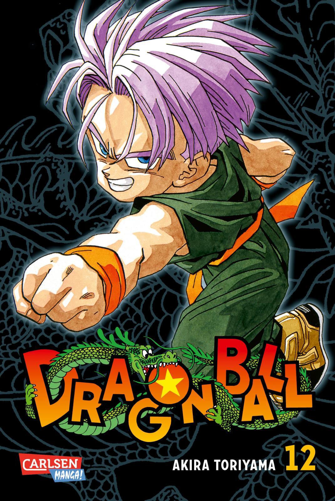 Vorderes Coverbild Dragon Ball Massiv 12
