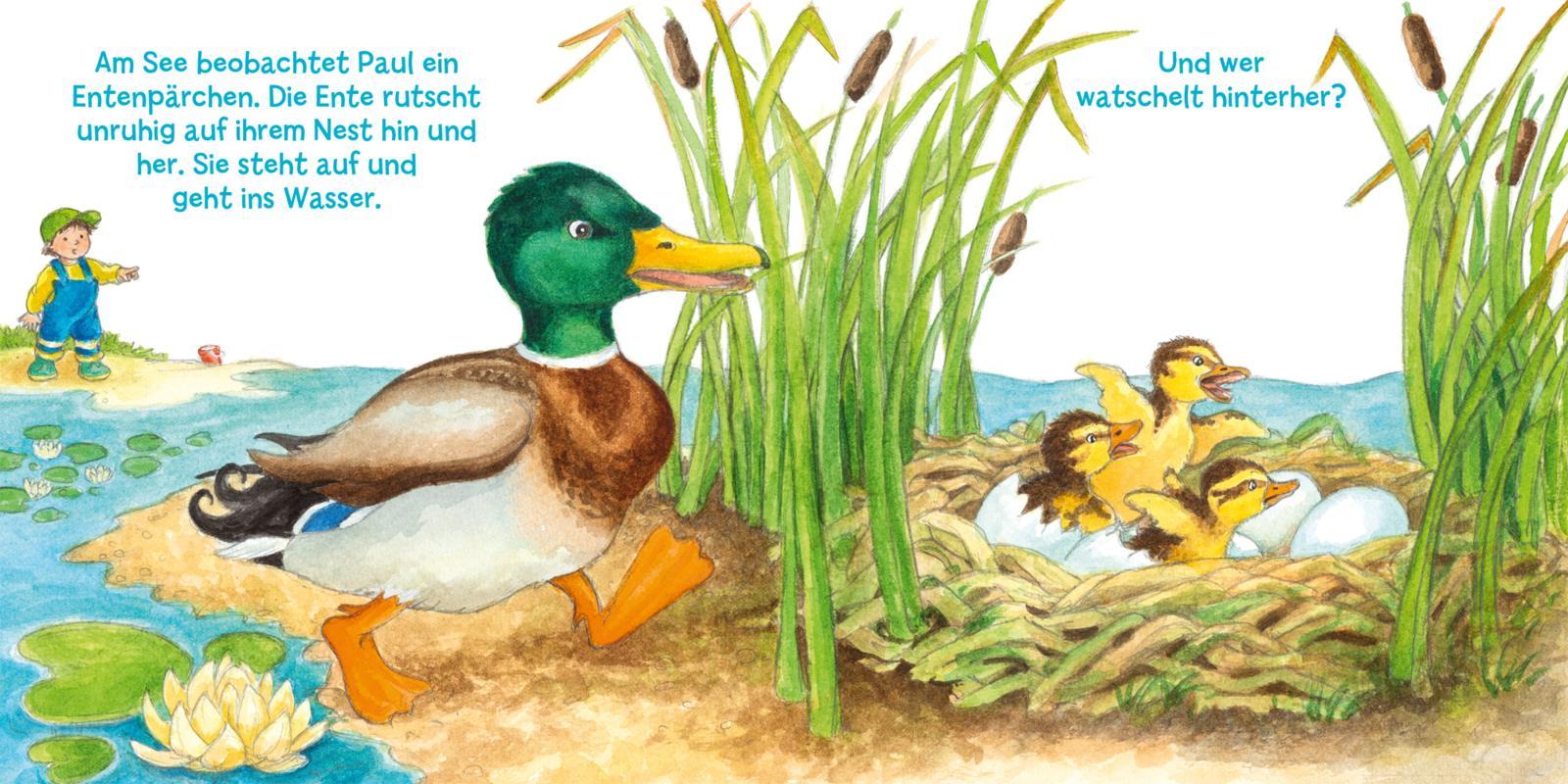 Beispielinhalt (Bild) Mein erstes Hör mal (Soundbuch ab 1 Jahr): Die Tierkinder