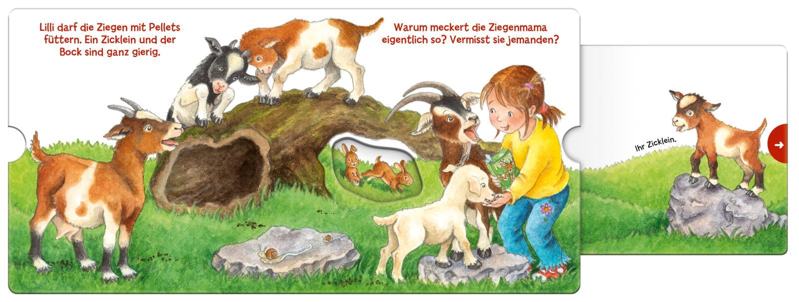 Beispielinhalt (Bild) Mein erstes Hör mal (Soundbuch ab 1 Jahr): Die Tierkinder