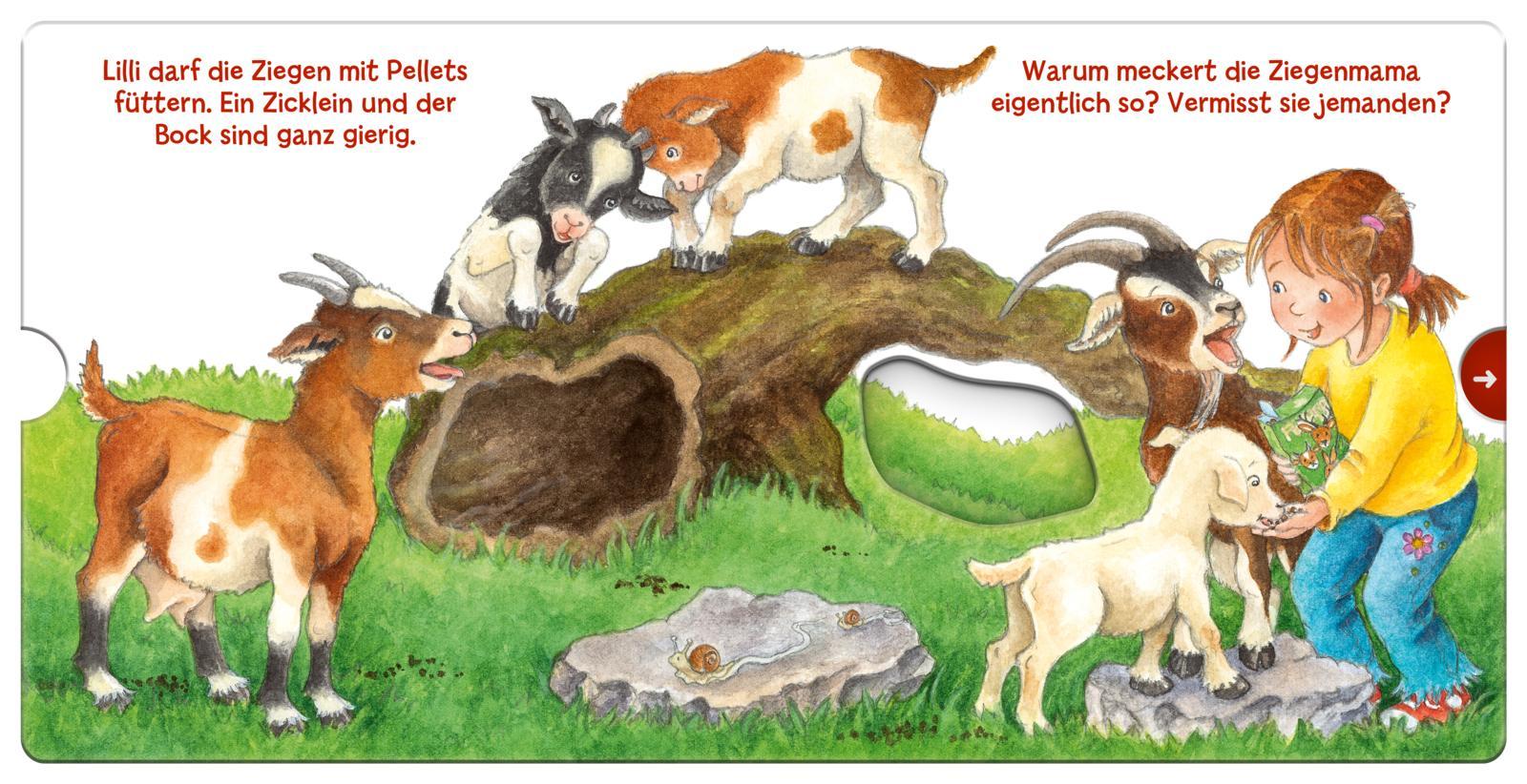 Beispielinhalt (Bild) Mein erstes Hör mal (Soundbuch ab 1 Jahr): Die Tierkinder