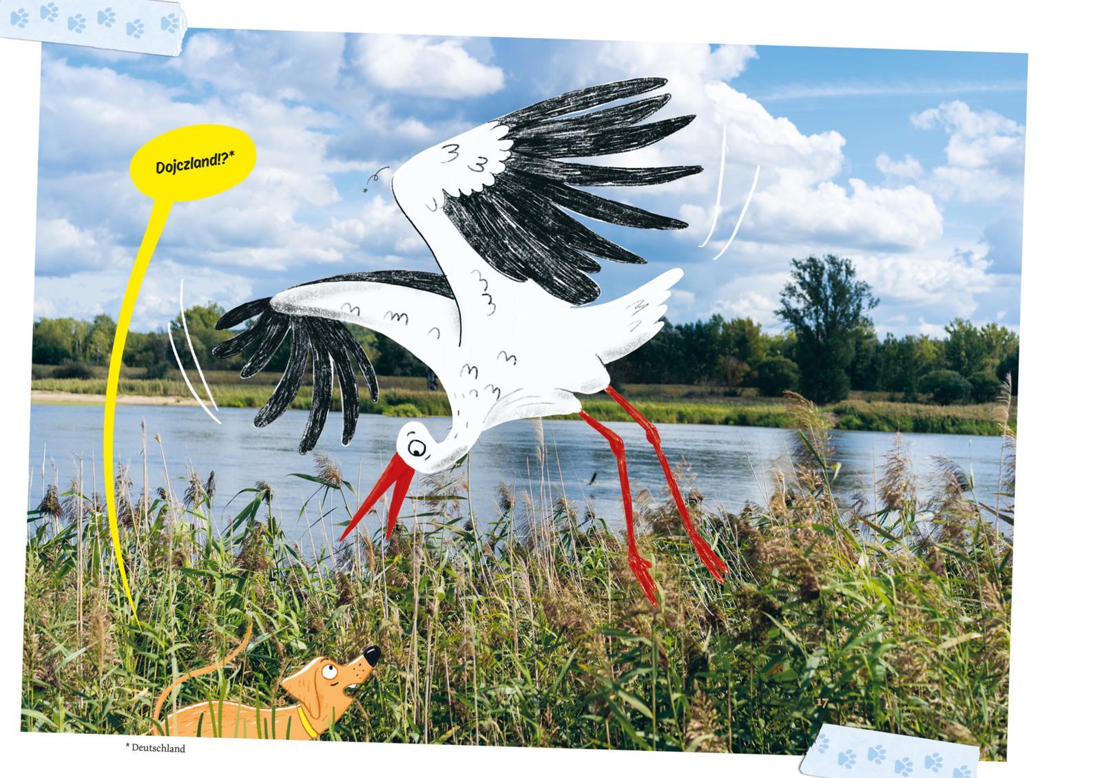 Beispielinhalt (Bild) Nuschki