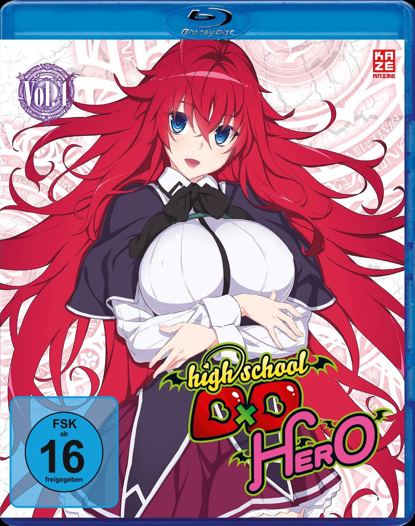 Vorderes Coverbild High School DxD Hero