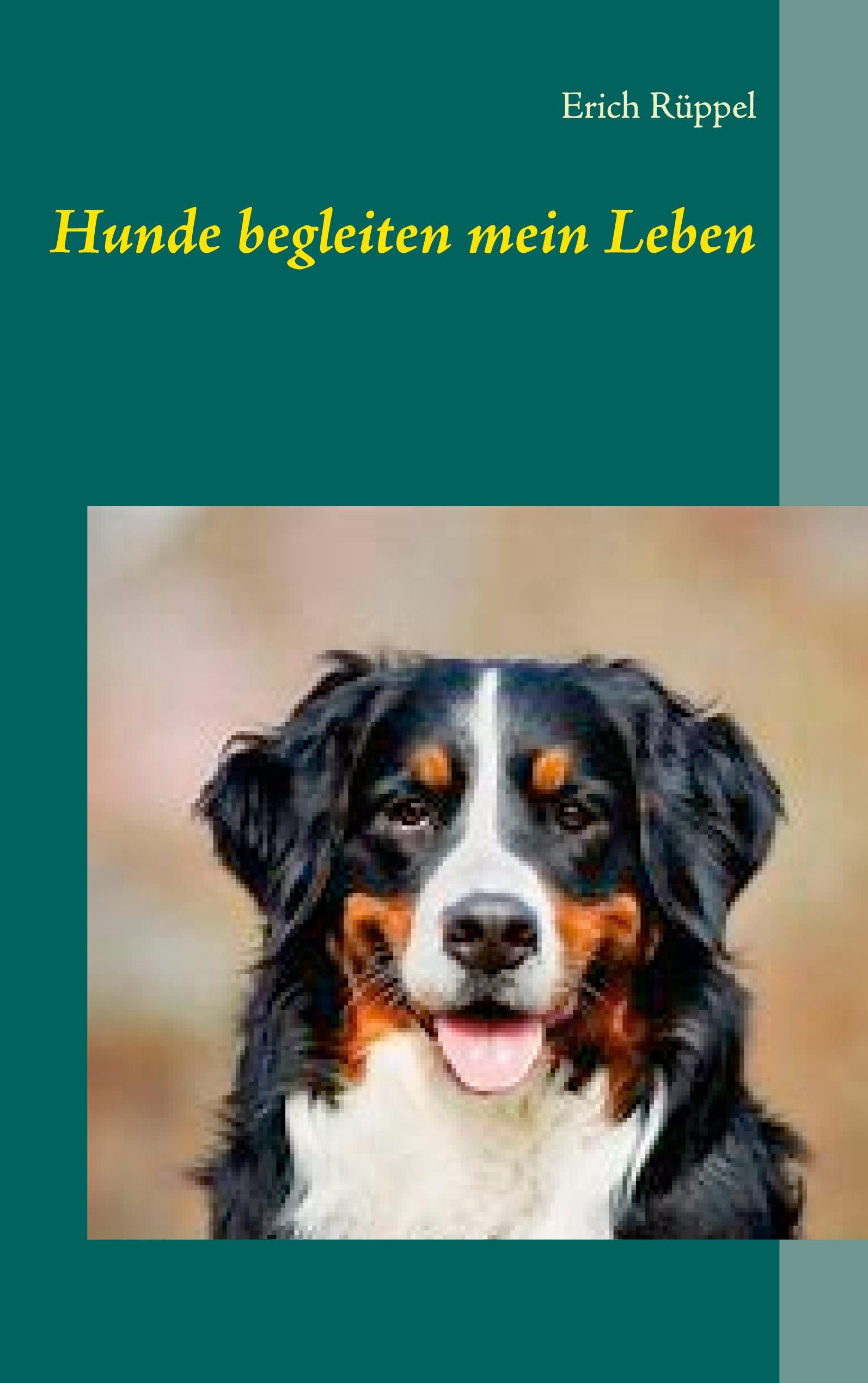 Vorderes Coverbild Hunde begleiten mein Leben