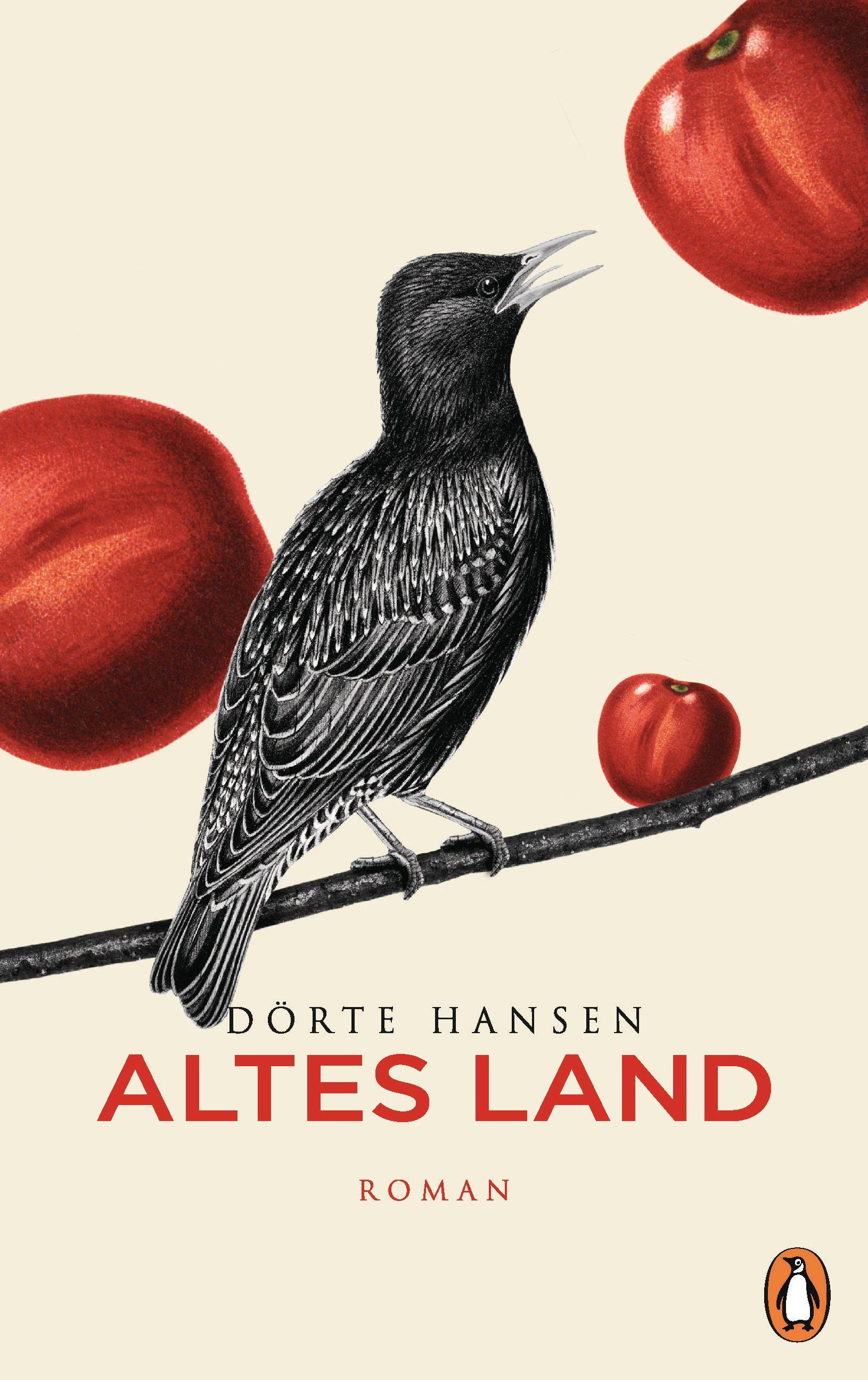 Vorderes Coverbild Altes Land